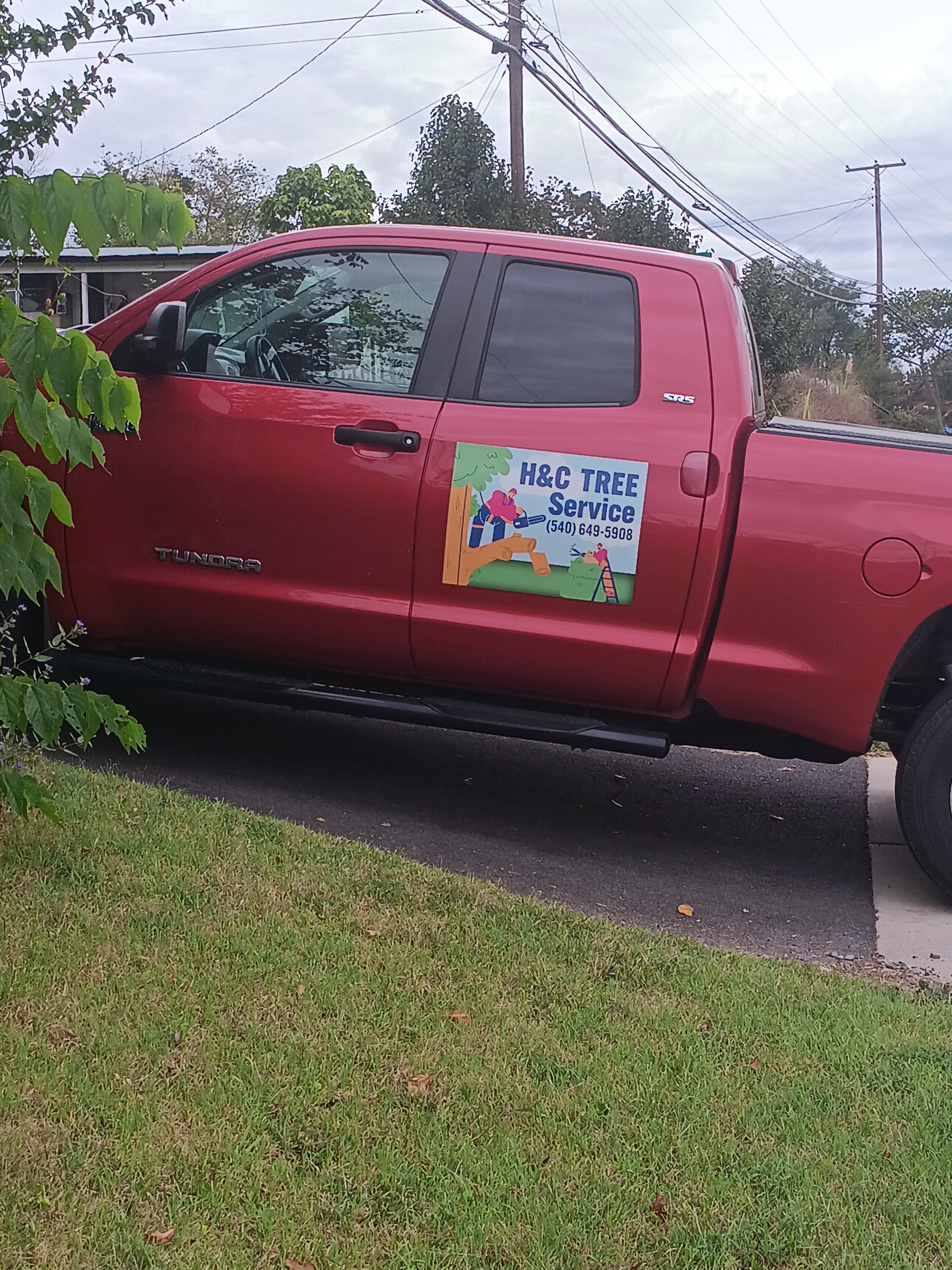 Help a Tree Climber's Family in Need campaign photo, 2 of 4