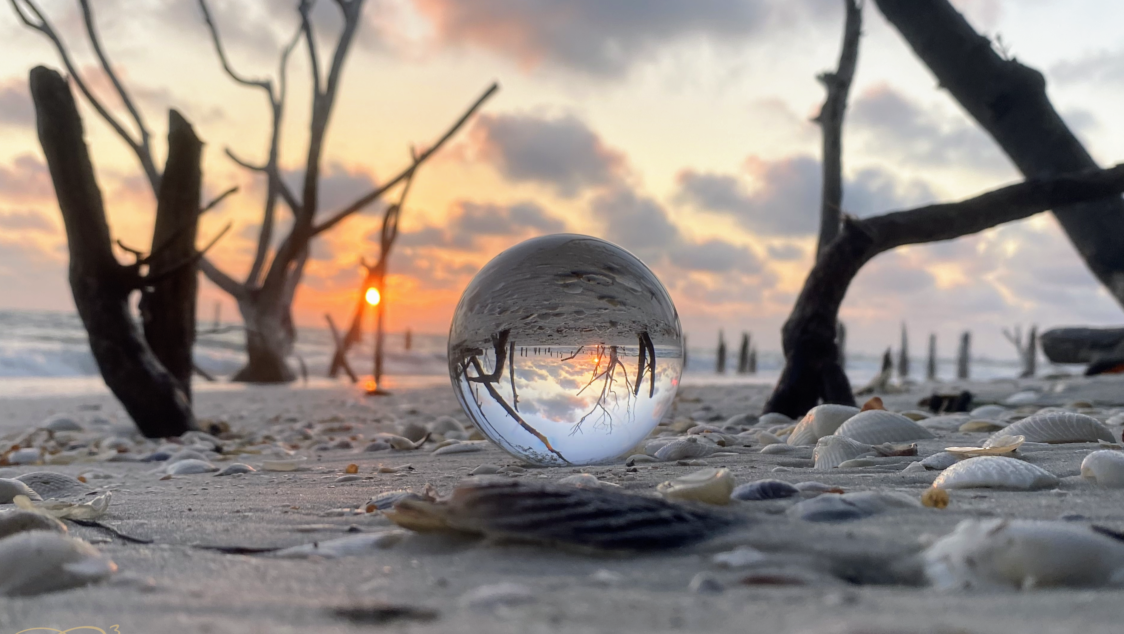 Help Steph Ro move on to the next step!!! photo