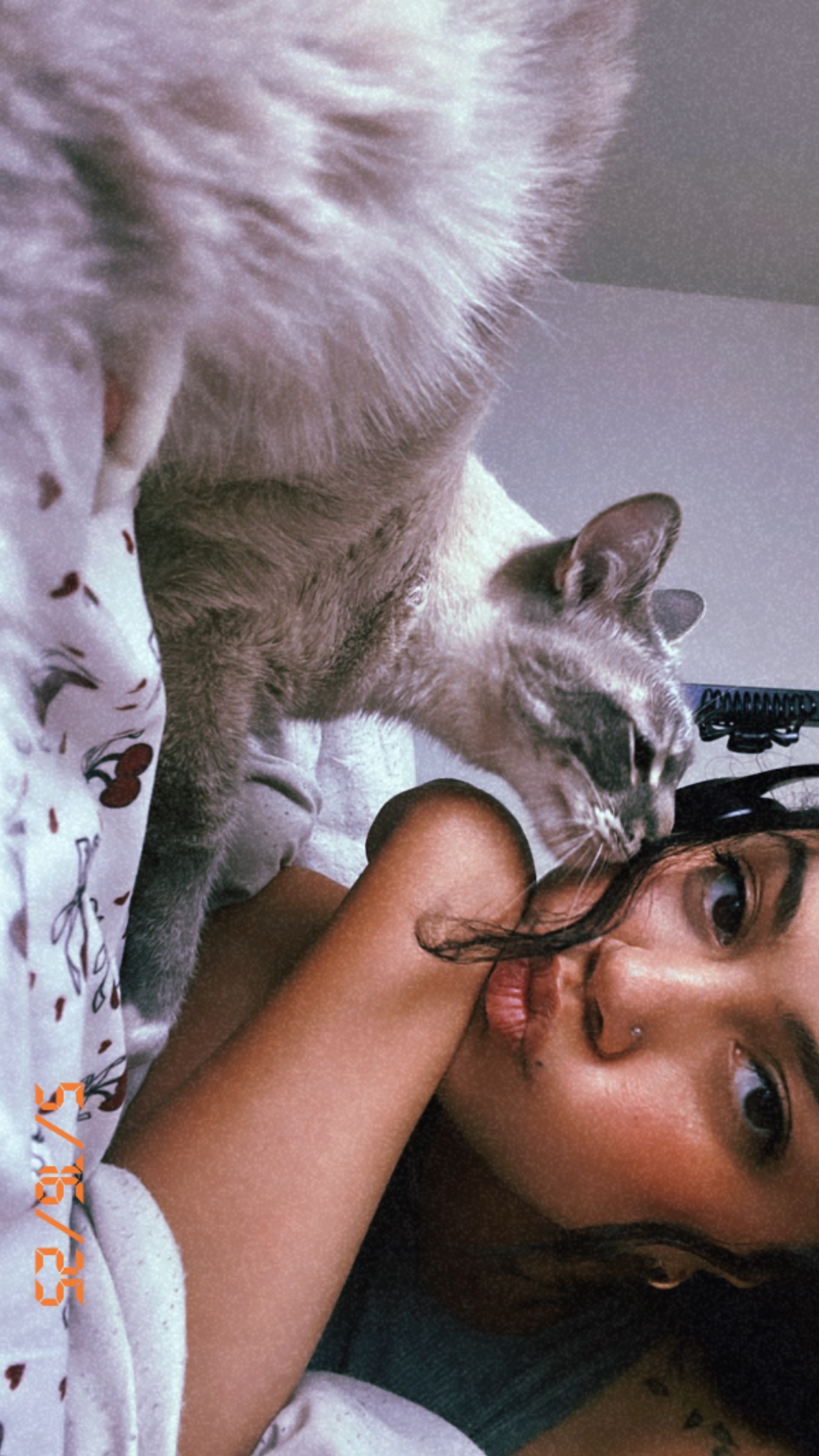Support Ezra's Emergency Vet Care campaign photo, 6 of 7