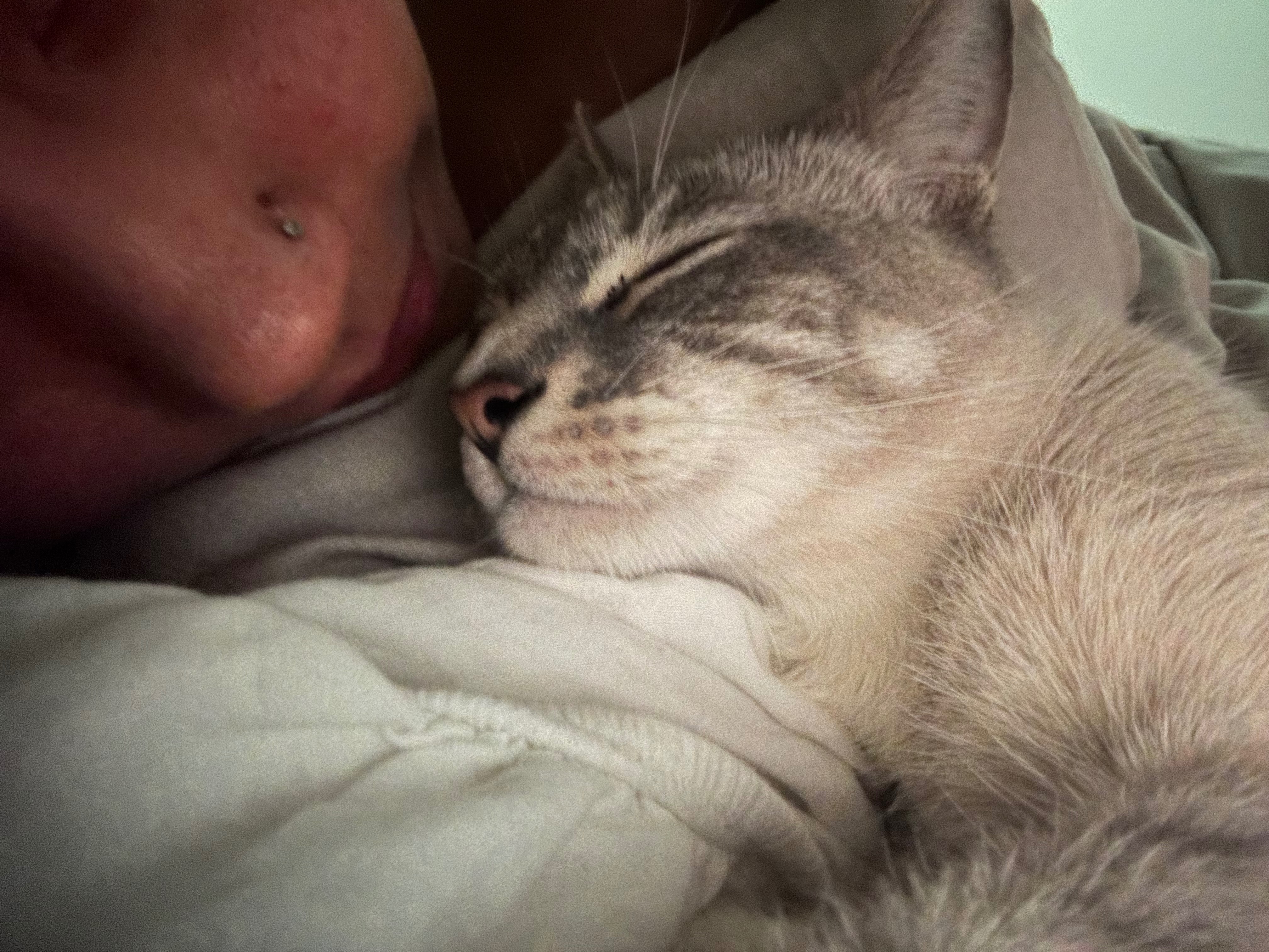 Support Ezra's Emergency Vet Care campaign photo, 4 of 7