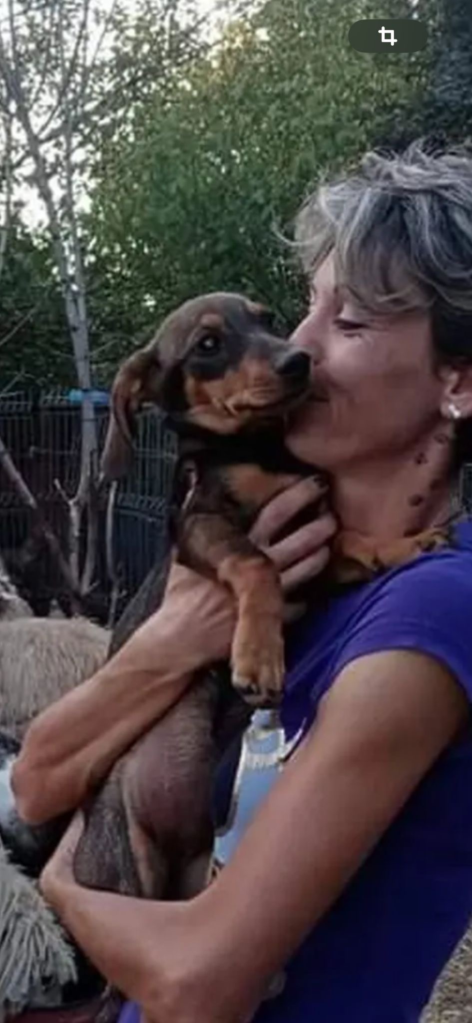Kälte, Hunger, Hoffnung – 150 Hunde brauchen deine Hilfe campaign photo, 6 of 7