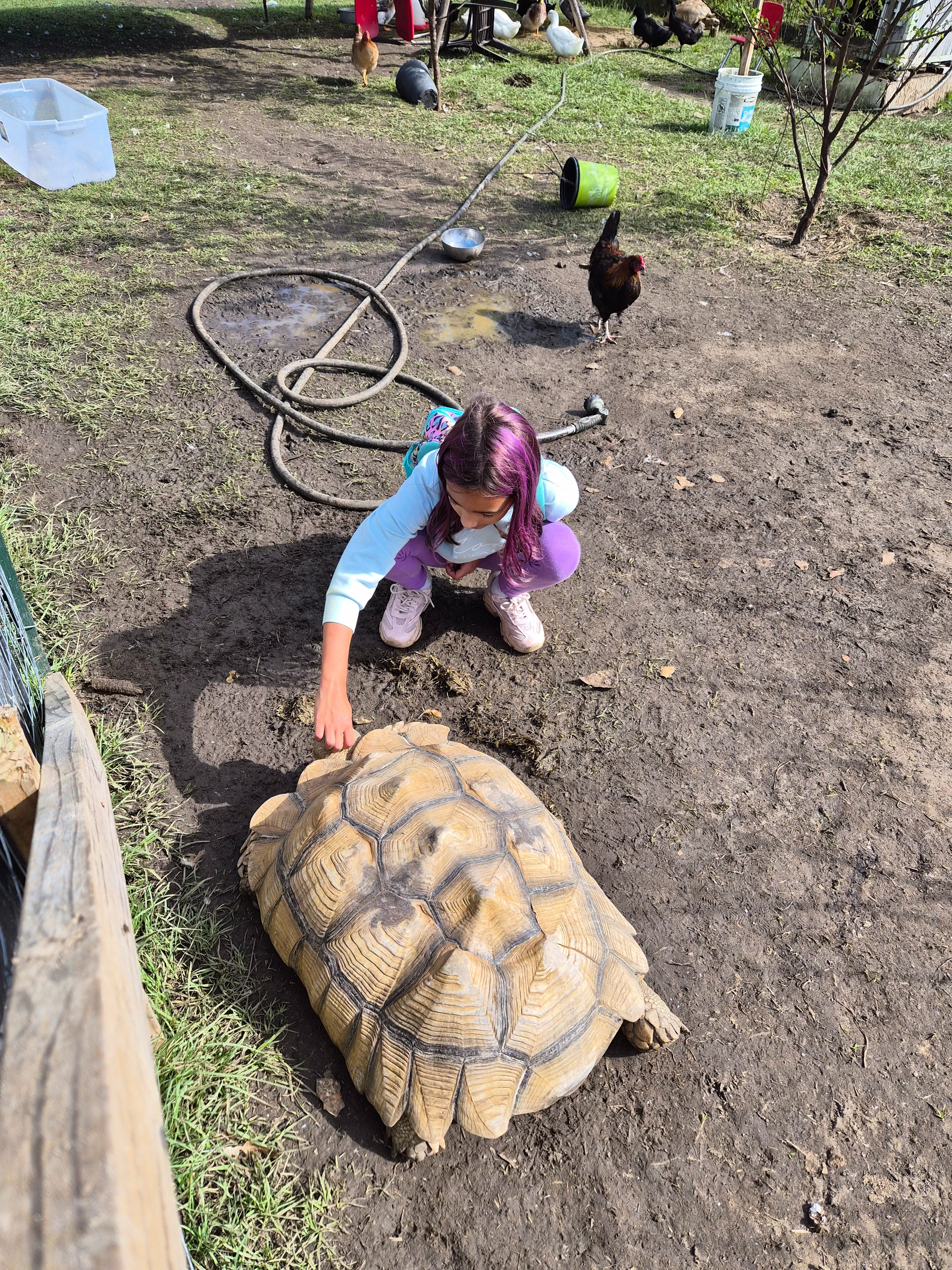 Help Lena continue her education at Mindful Journey Academy campaign photo, 6 of 8