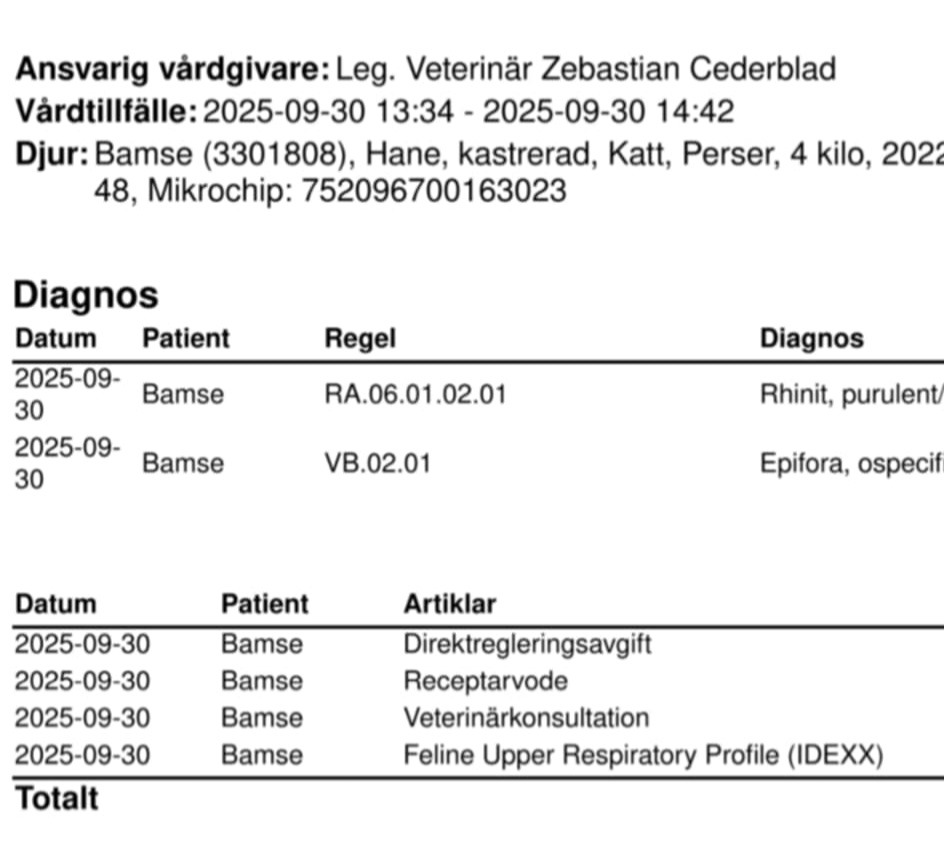 Please Donate To Urgent Help For Sick Teddy Bamse campaign photo, 4 of 7