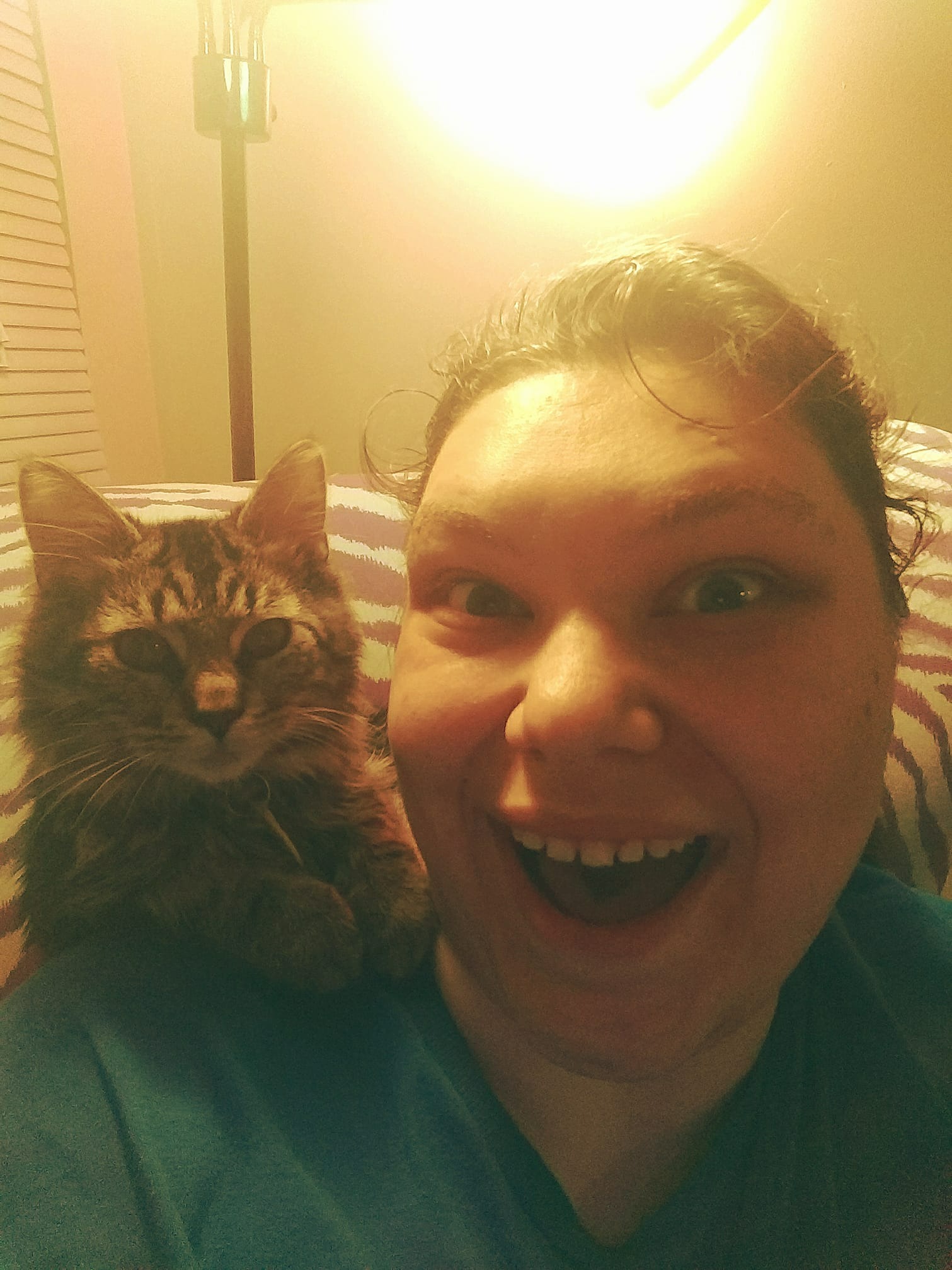 Support Warlock's Urgent Vet Care campaign photo, 2 of 8