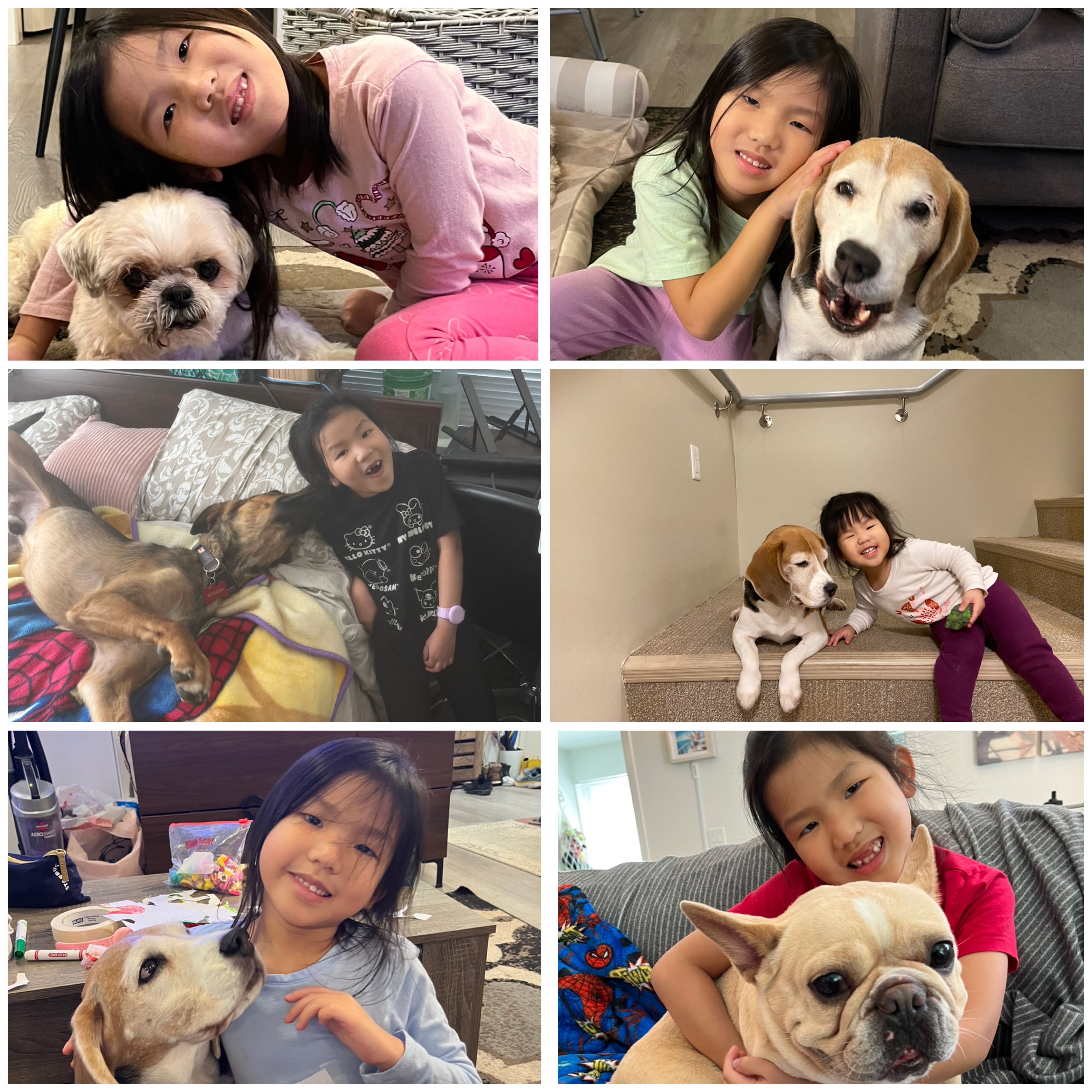 Talia’s Birthday Donation to the BCSPCA campaign photo, 2 of 4