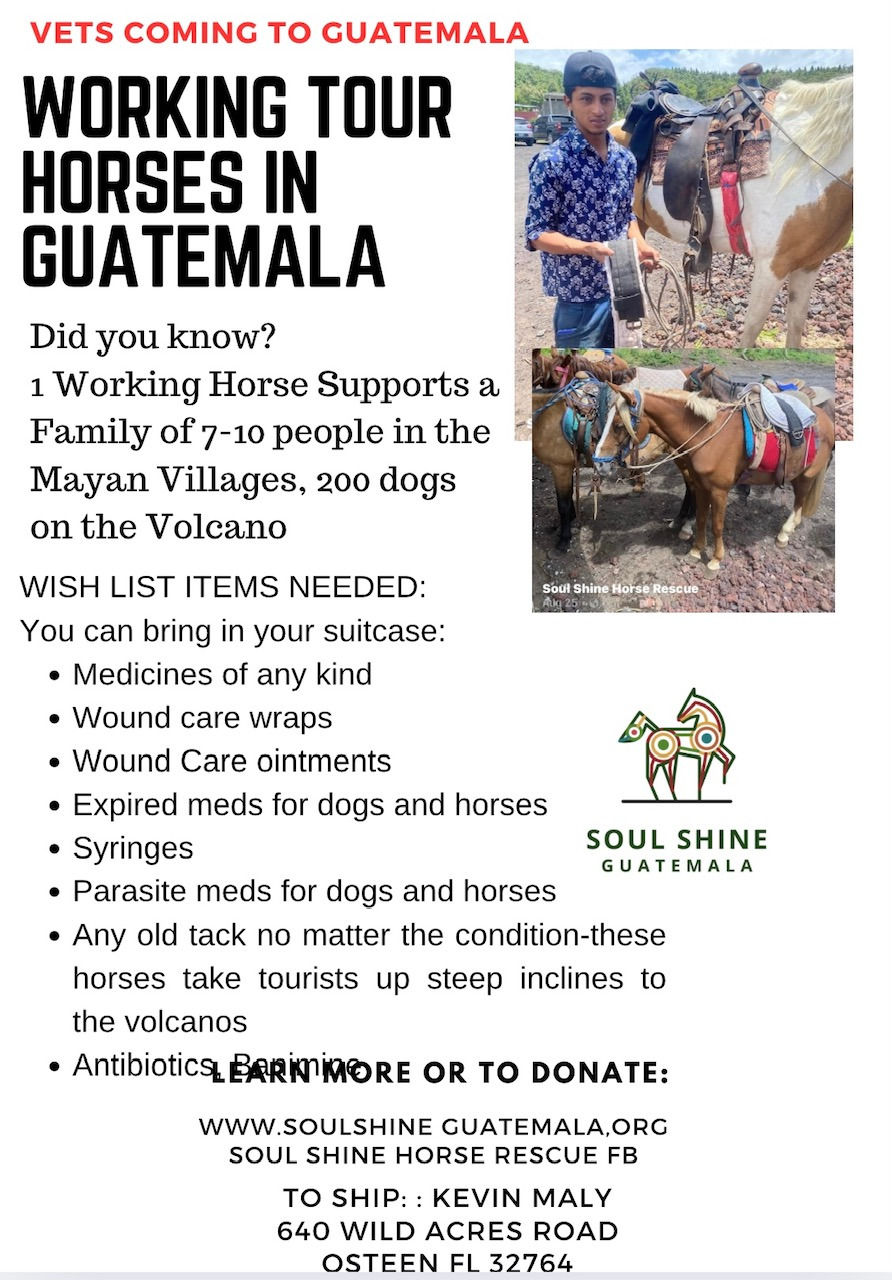 Support Life-Changing Work in Guatemala campaign photo, 6 of 8