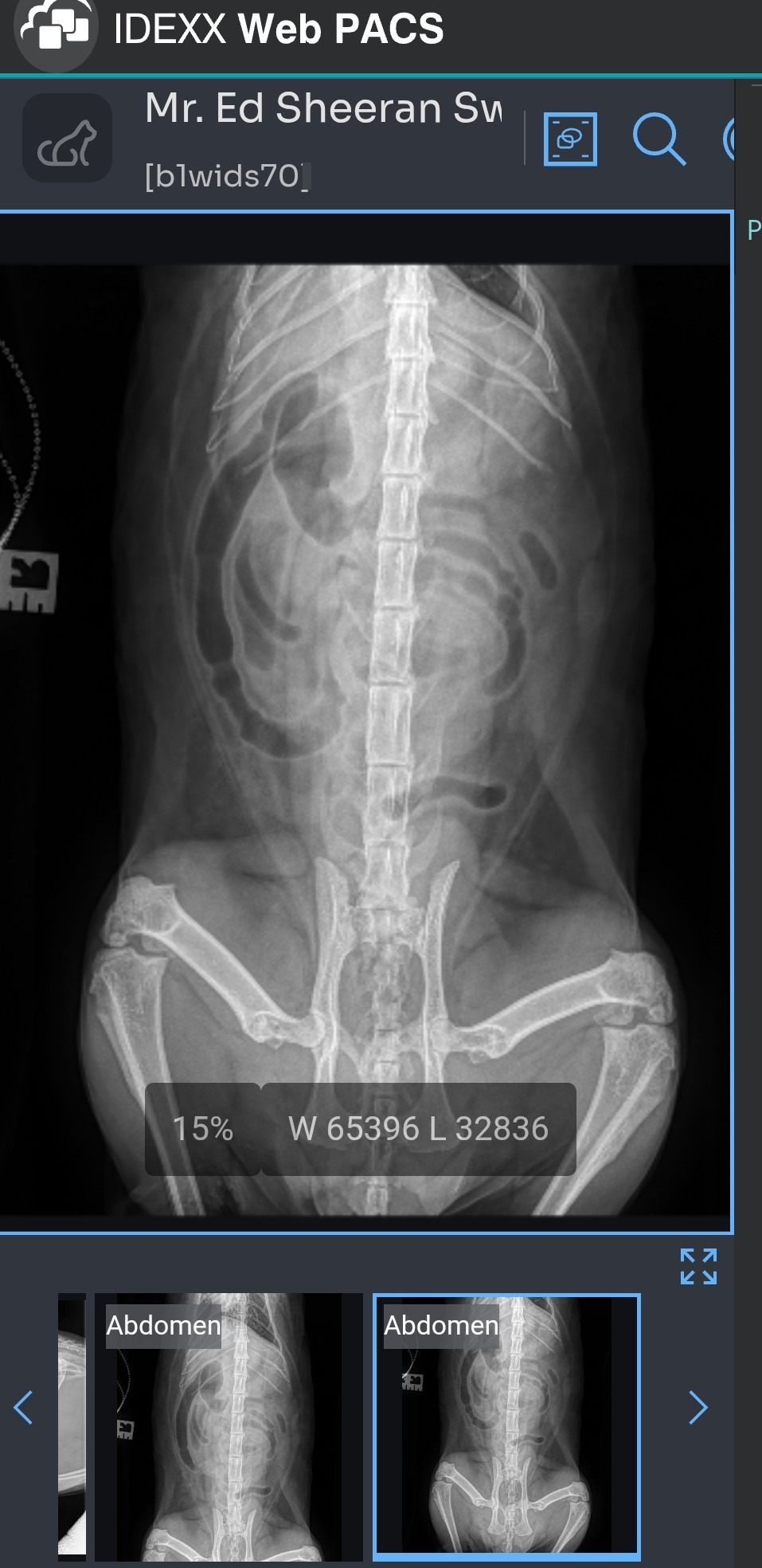 Edward Sheeran’s Emergency Tour: The Vet Bill Sessions campaign photo, 4 of 8