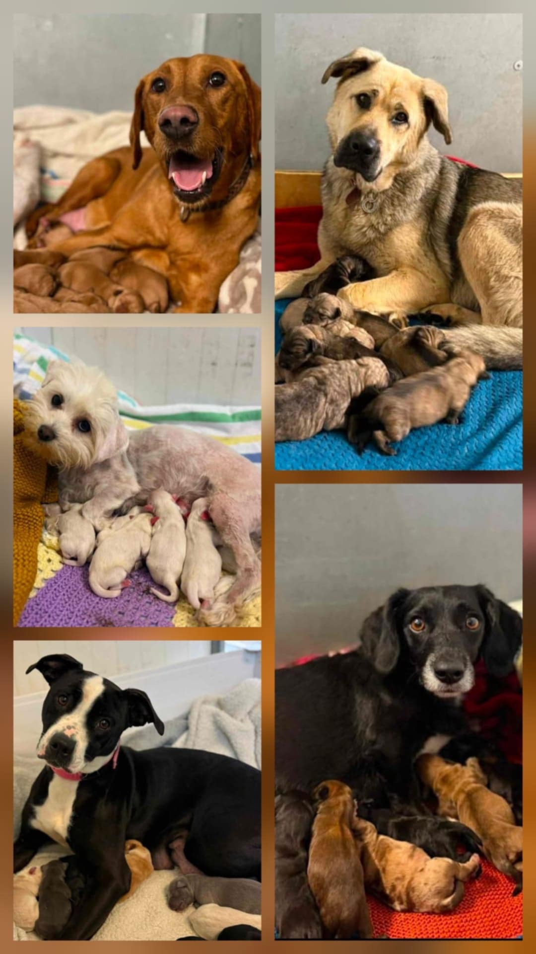 User-uploaded image 1