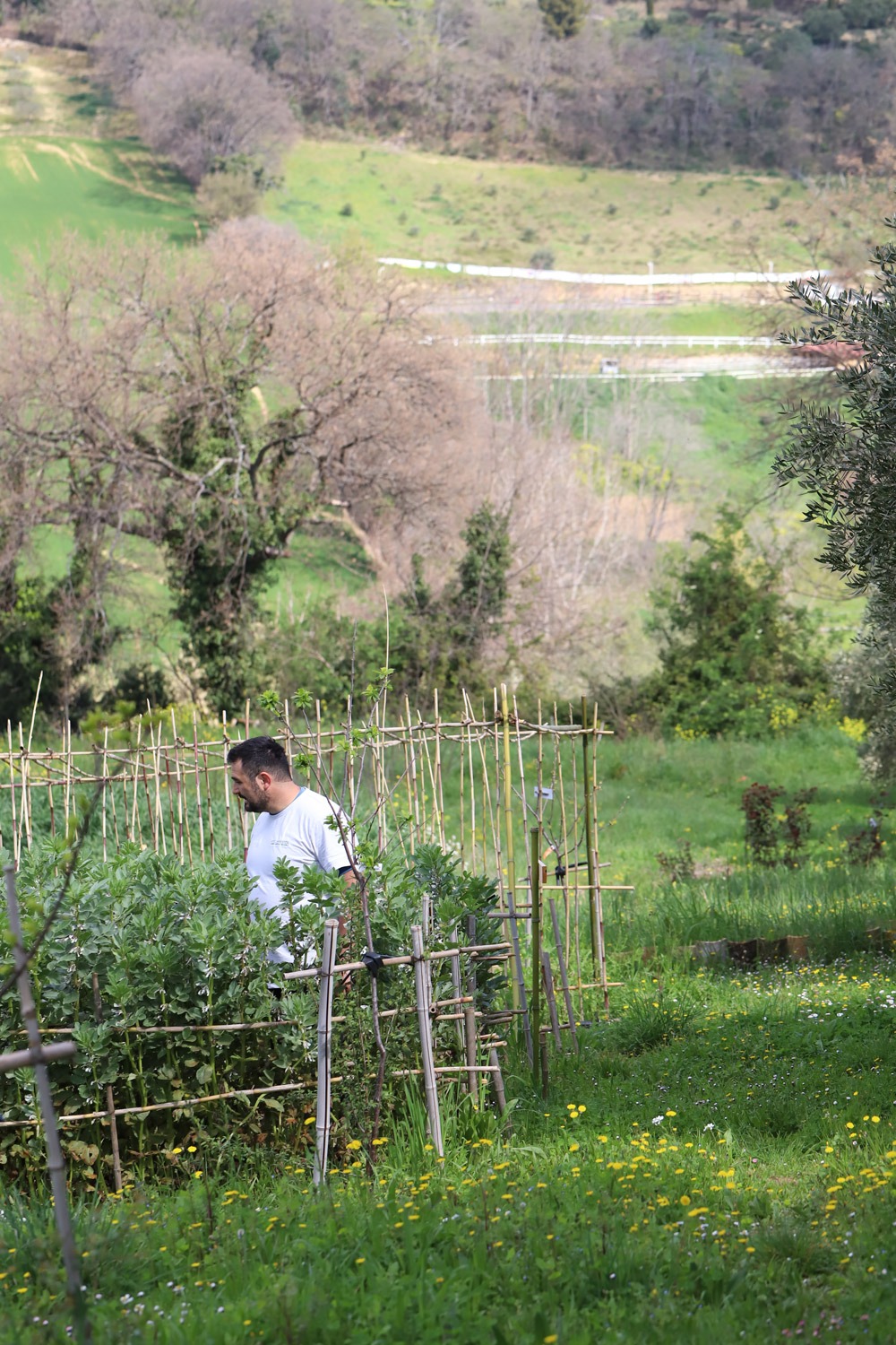 INSIEME PER COLLEGHIANDA campaign photo, 2 of 8