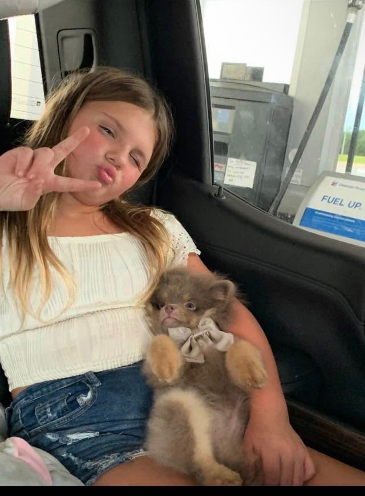 User-uploaded image 1