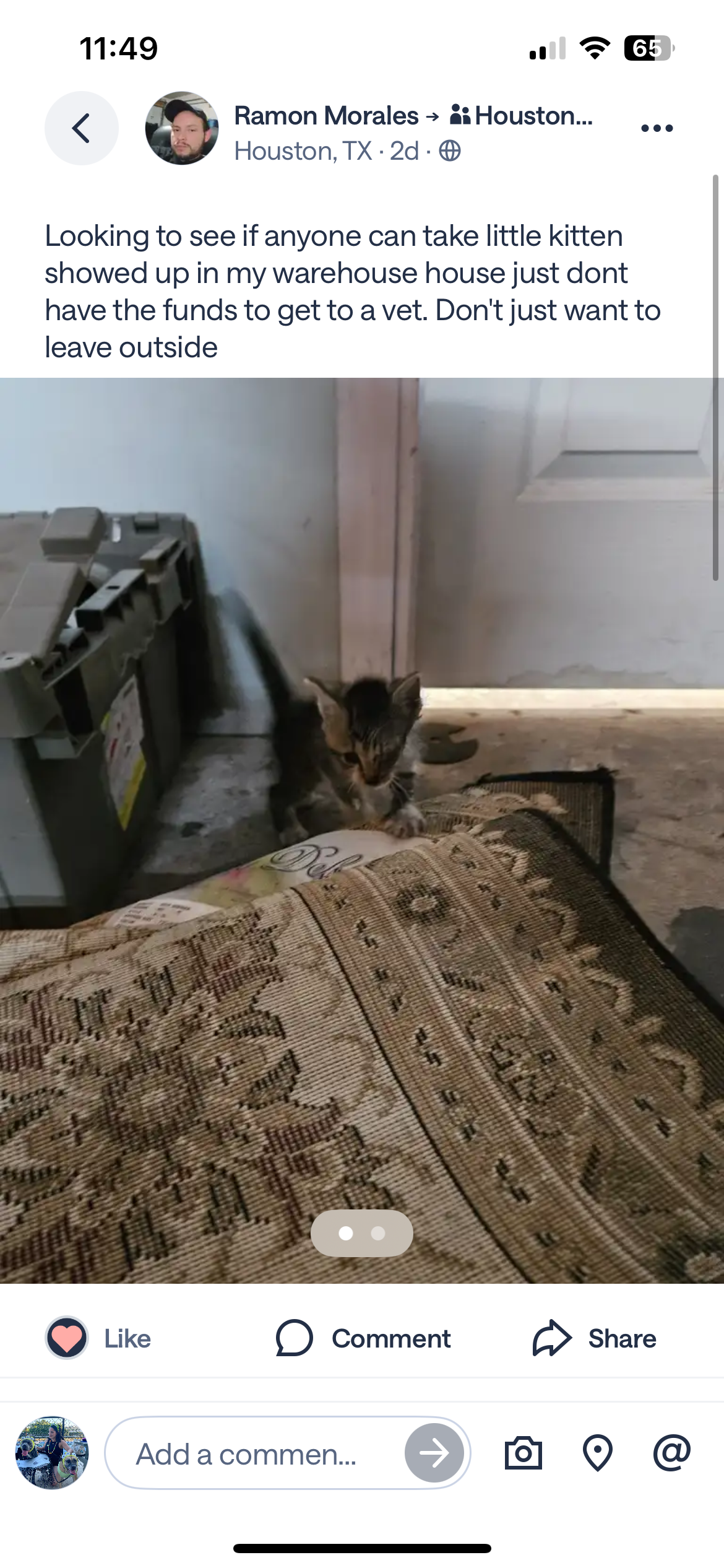 Help Save This Kitten's Eye and Health campaign photo, 6 of 7