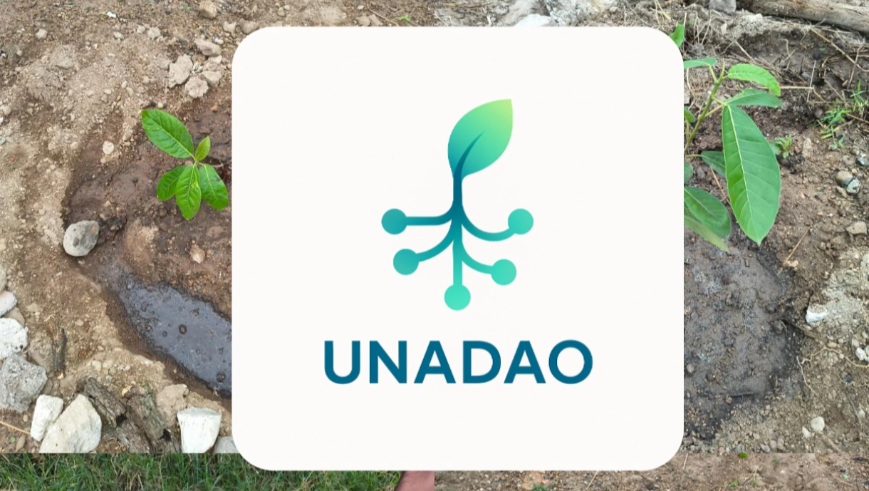 CON UNA DAO DONA PARA UN FUTURO MÁS VERDE pinned link photo