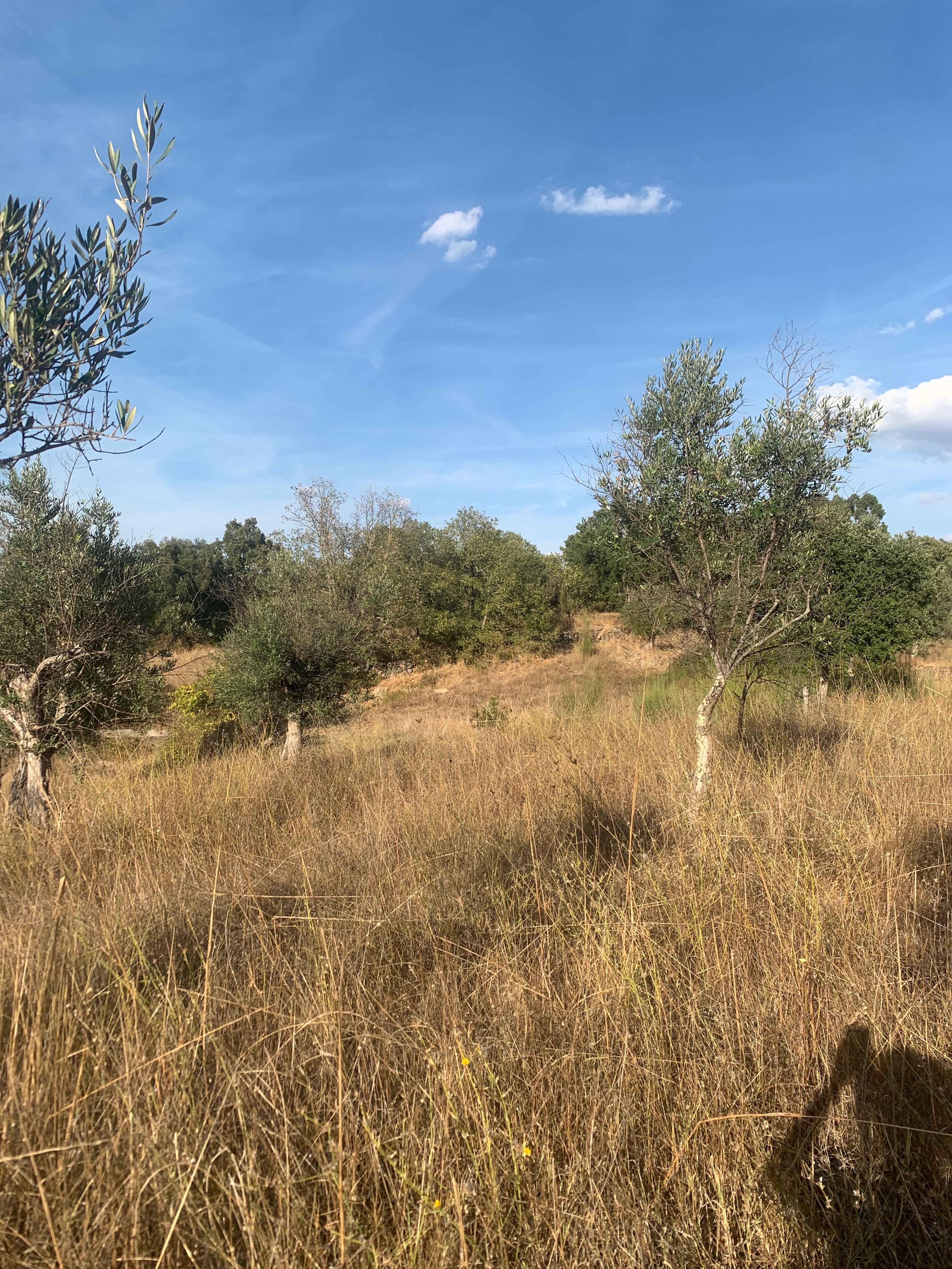 Foto van campagne Support the Flower of Life Nature Connect Centre: Become a C, 7 van 8