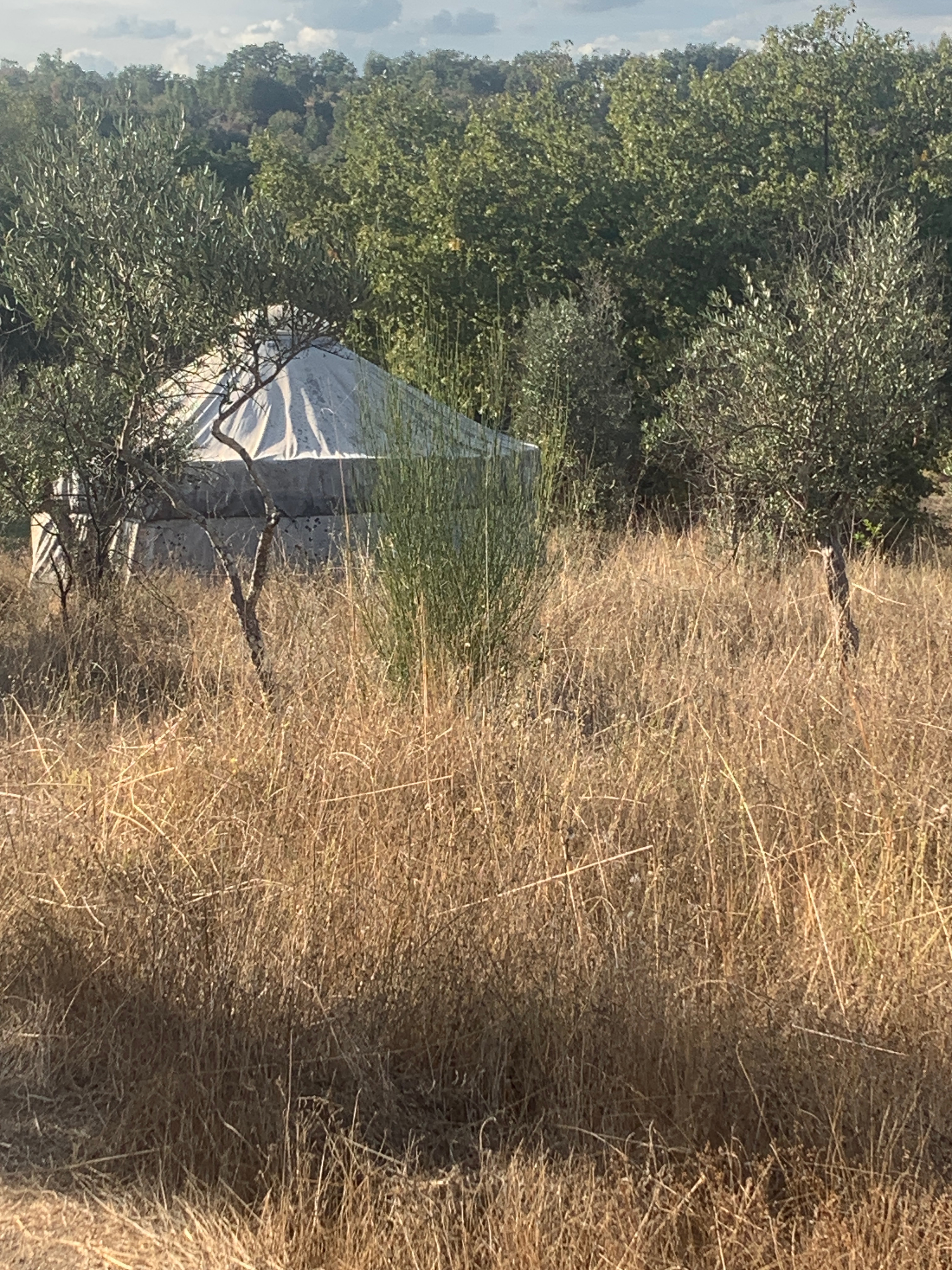 Foto van campagne Support the Flower of Life Nature Connect Centre: Become a C, 2 van 8