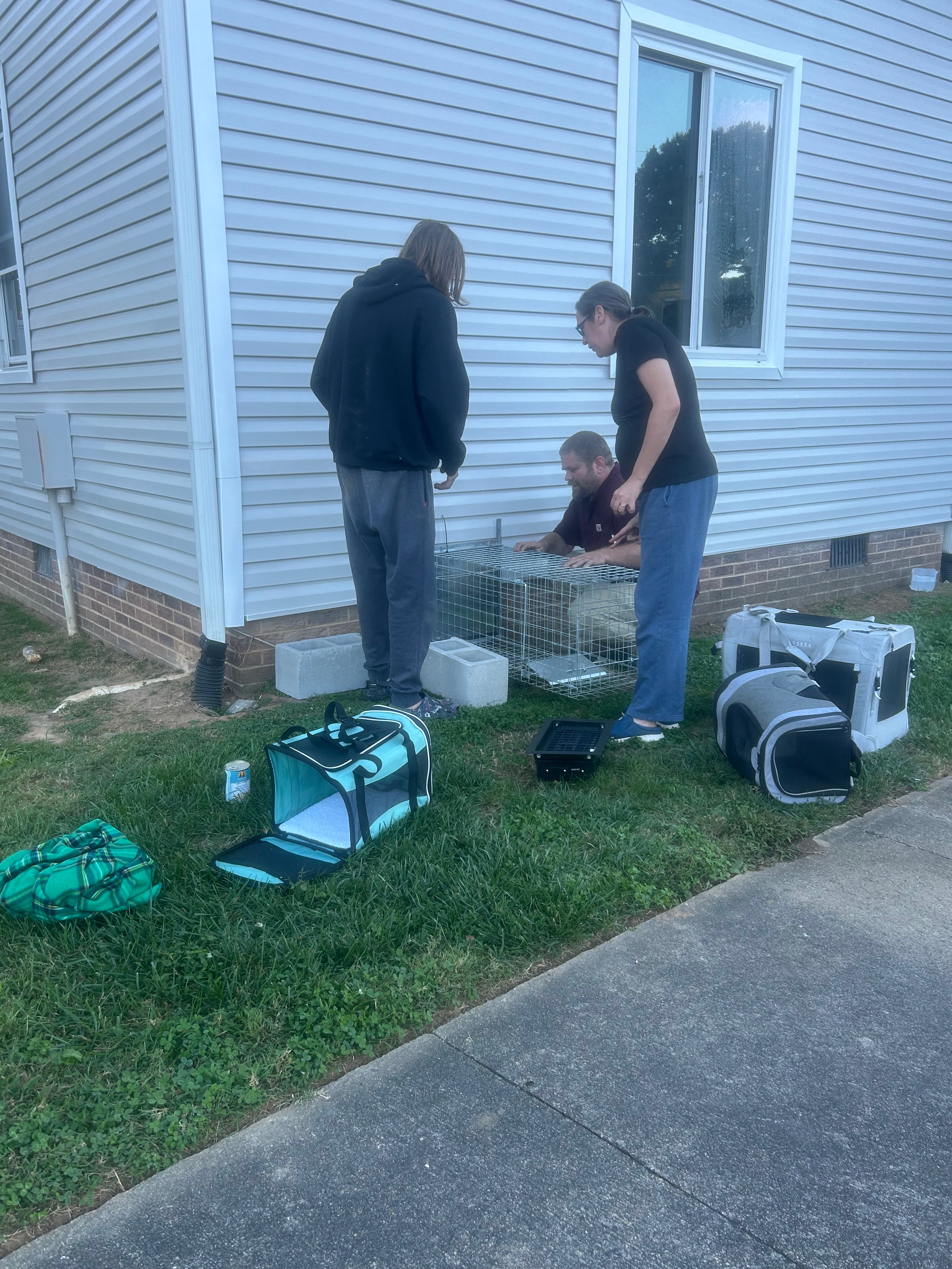Building feral colony Shelter- campaign photo, 7 of 8