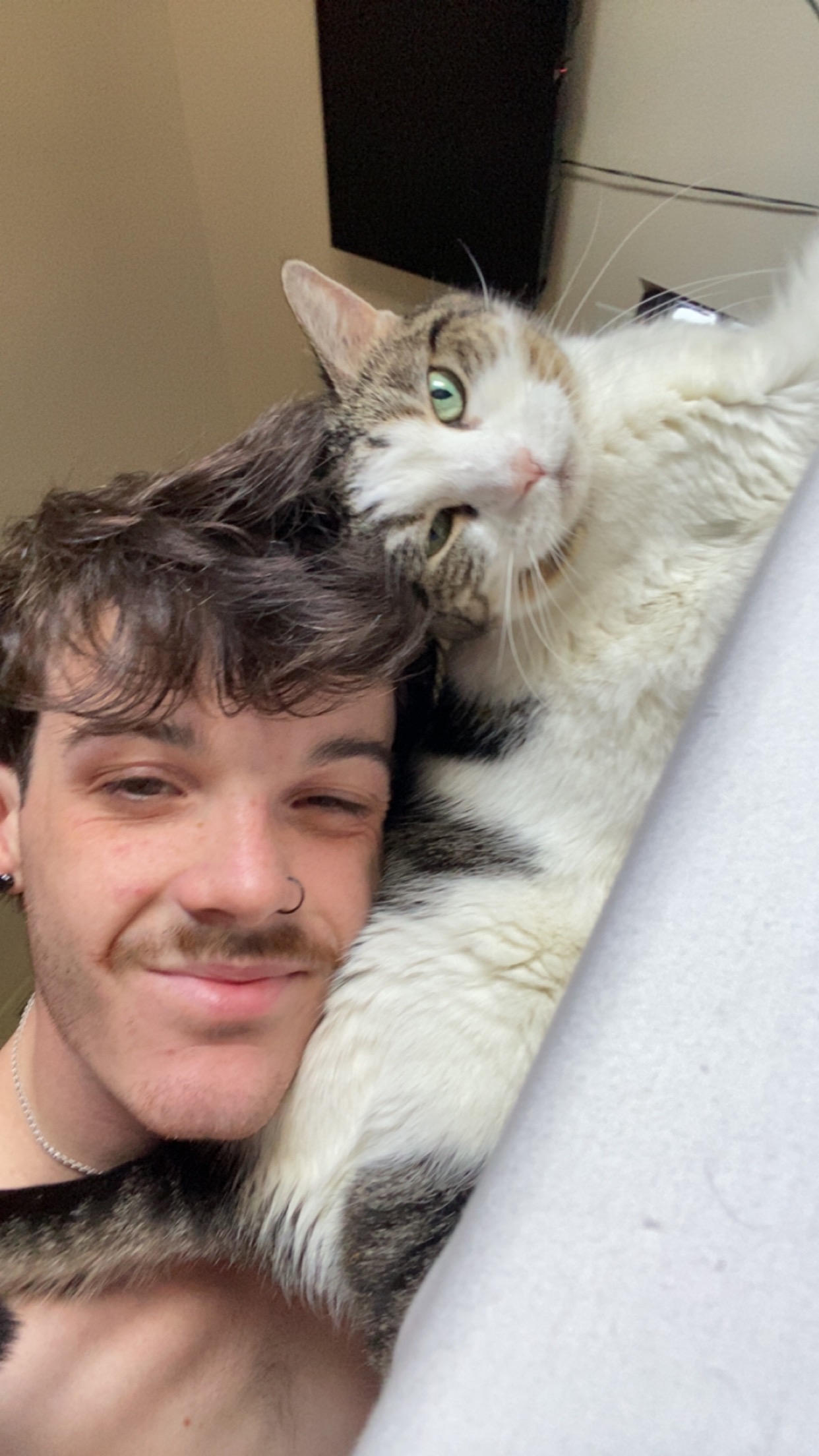 Help Owen's Cat Milk Dud Recover campaign photo, 2 of 5