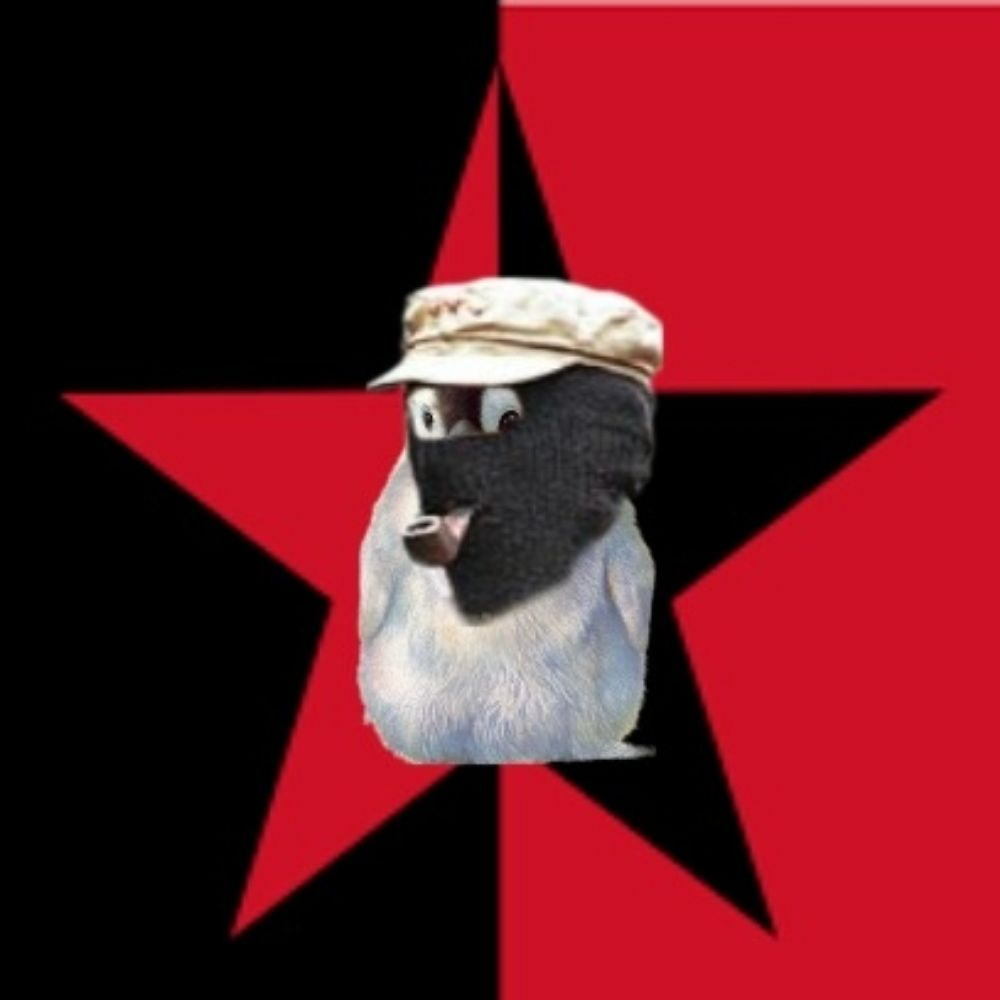 Kampagnen-Foto für Shitposterin in Not, 2 von 4