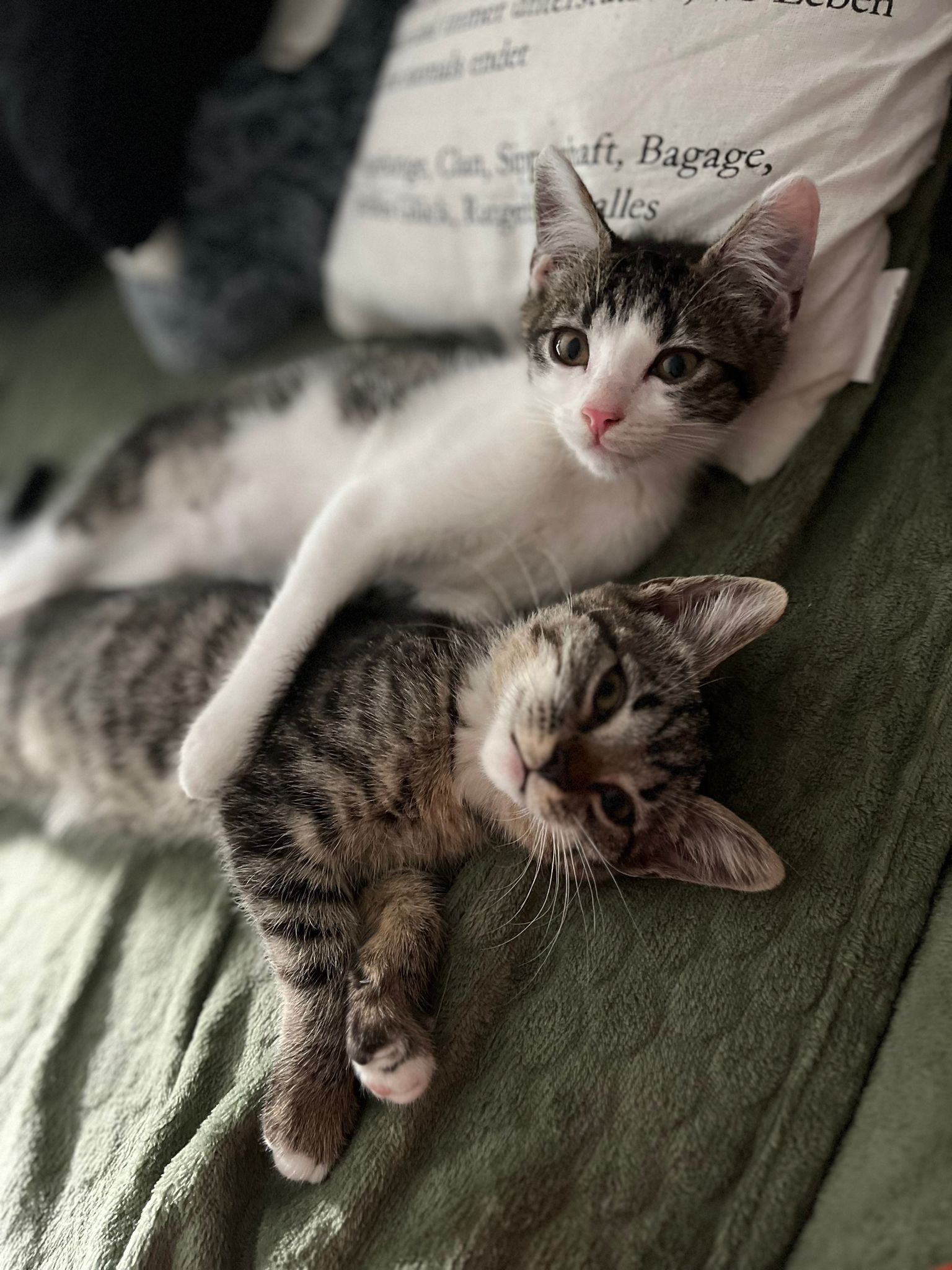 Für Findus – Ein kleines Herz kämpft ums große Leben campaign photo, 6 of 7