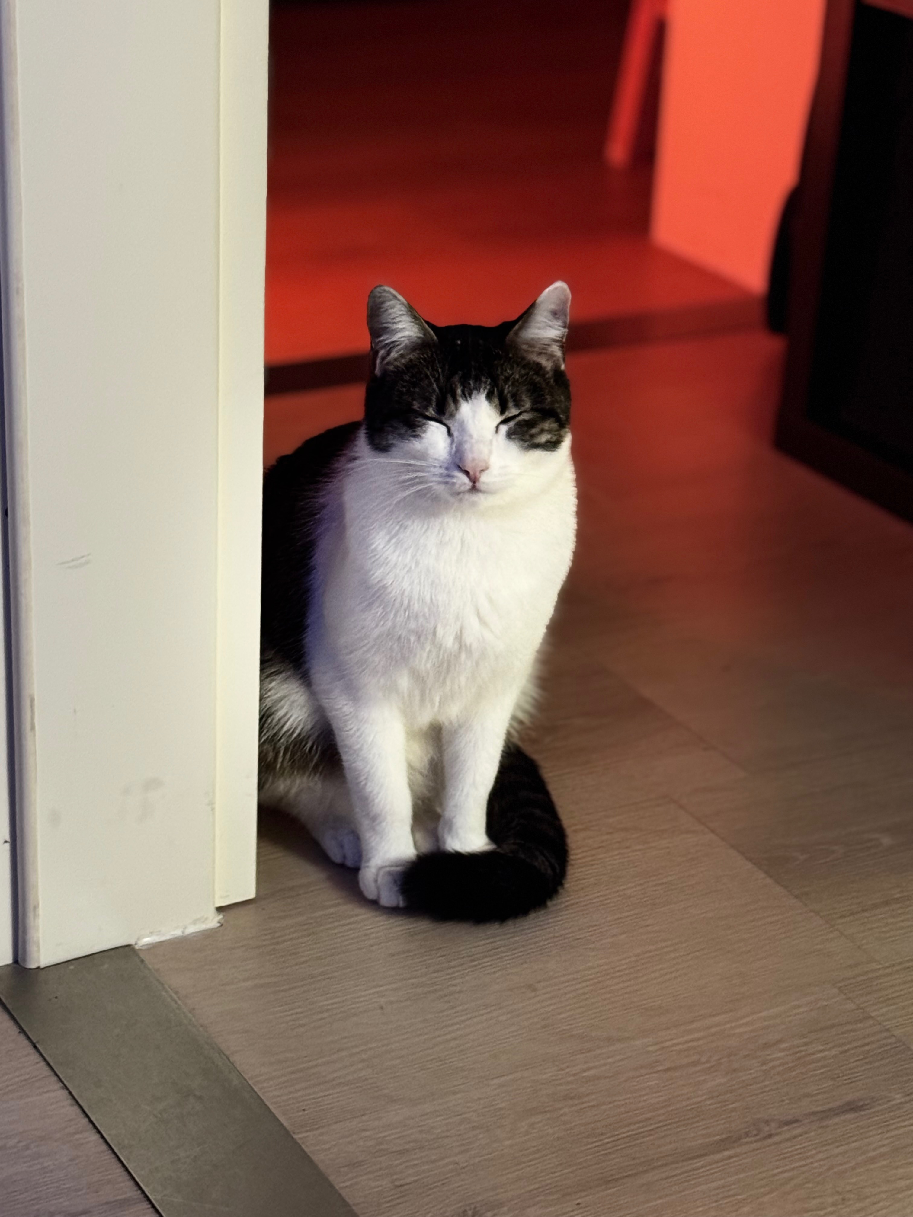 Für Findus – Ein kleines Herz kämpft ums große Leben campaign photo, 2 of 7