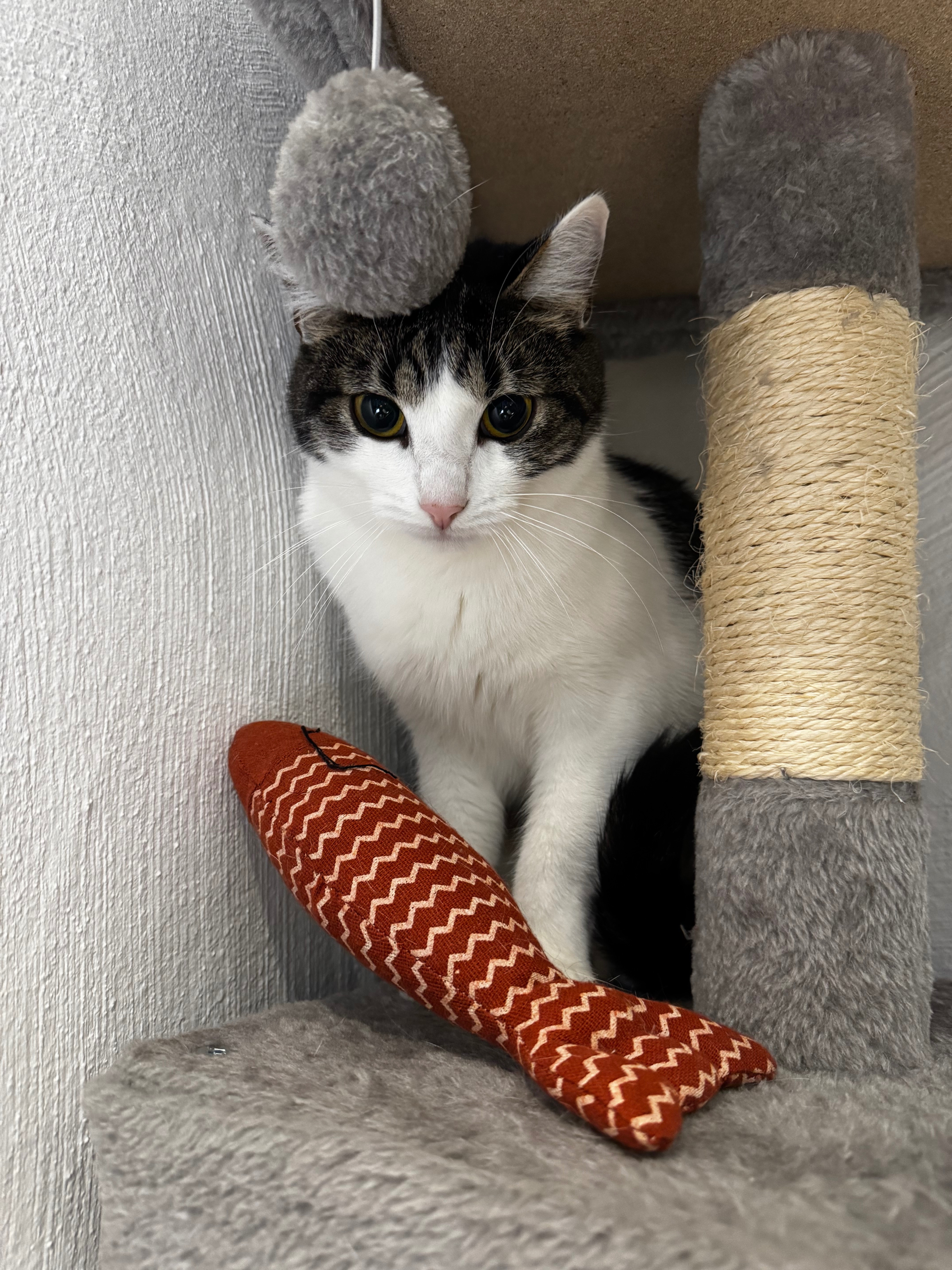 Für Findus – Ein kleines Herz kämpft ums große Leben campaign photo, 5 of 7