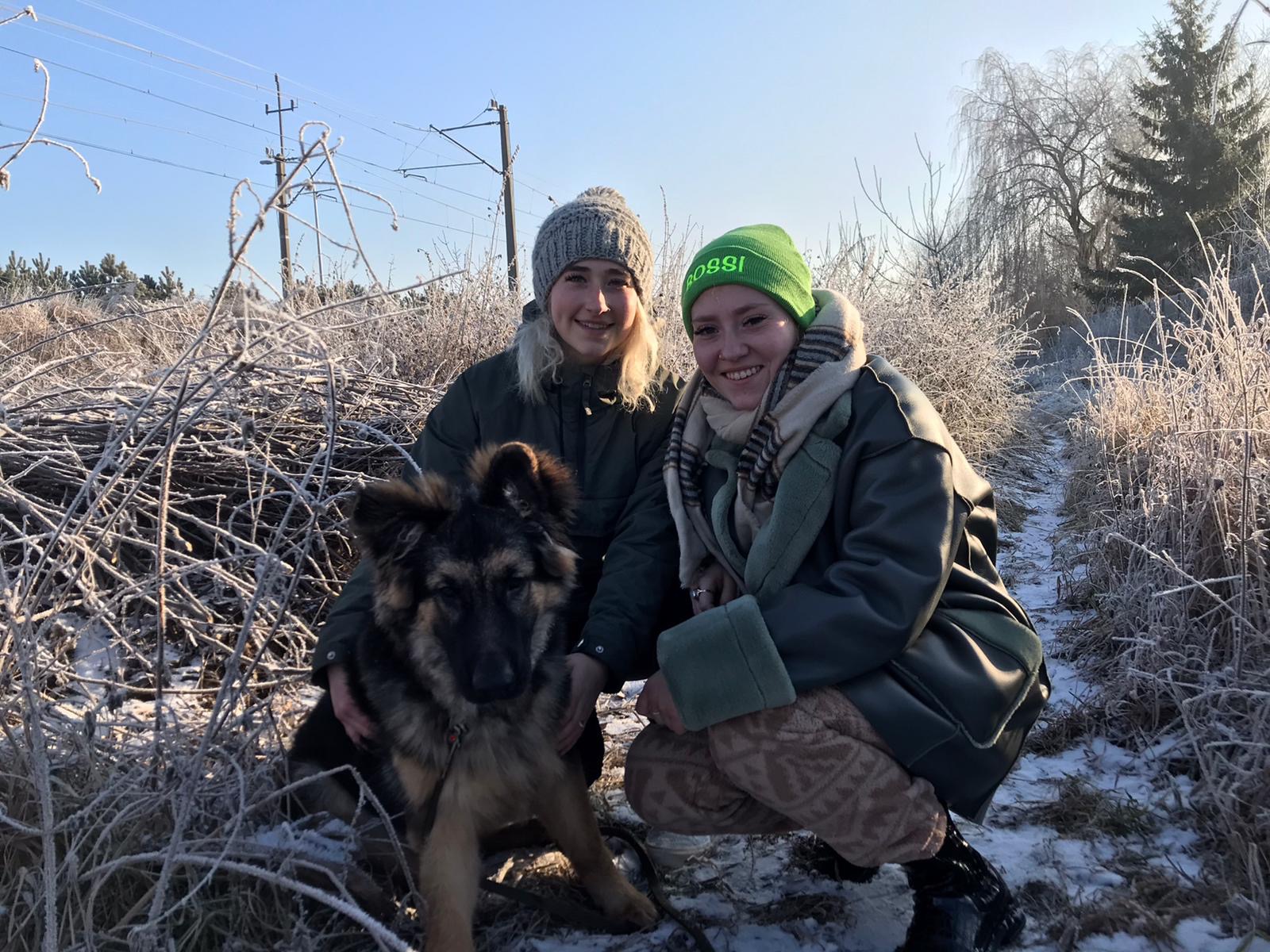 User-uploaded image 1