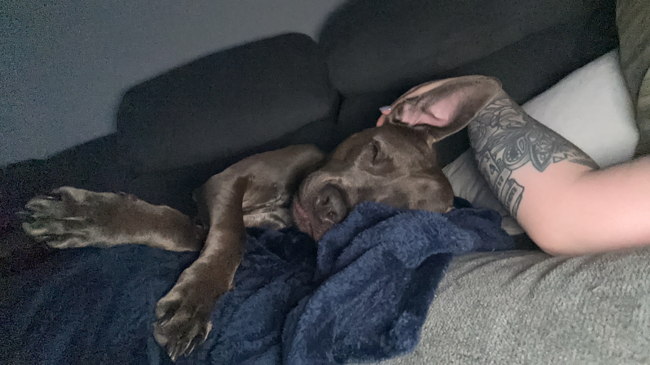 Help Kody Fight T Cell Lymphoma campaign photo, 5 of 8