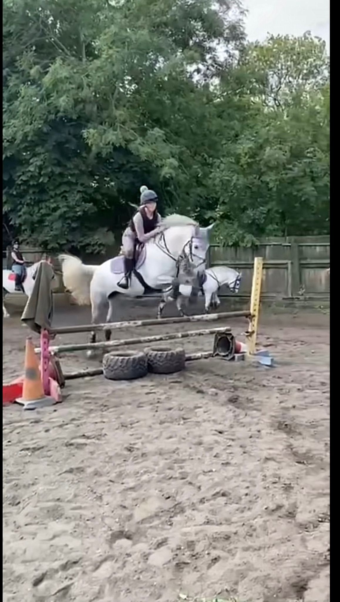 Replacement Jumps for our Riding School campaign photo, 7 of 8