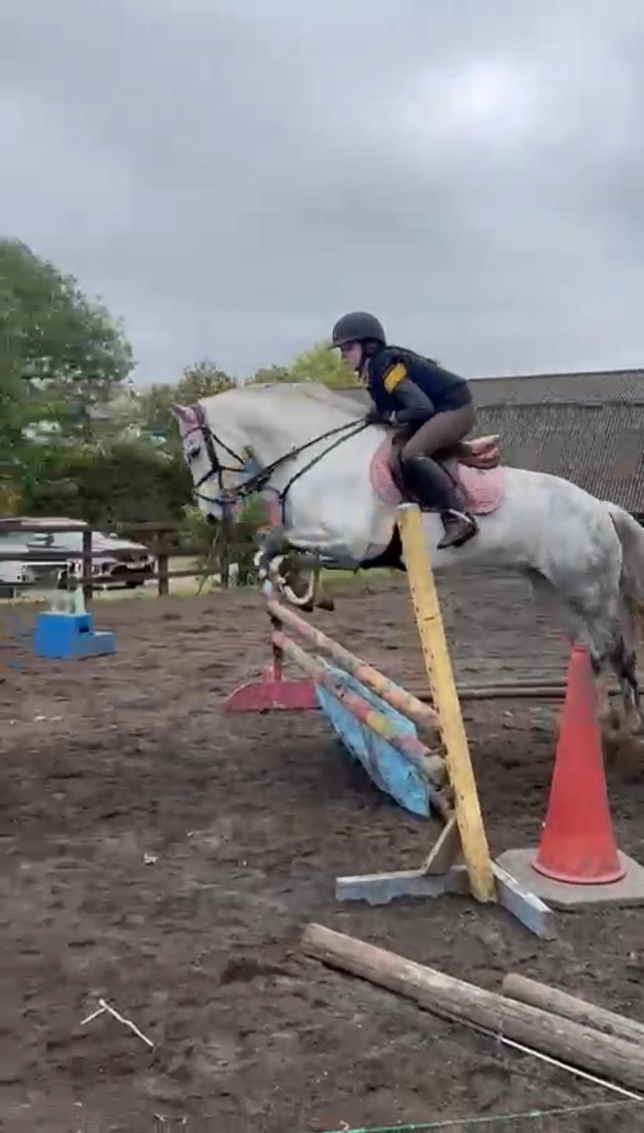 Replacement Jumps for our Riding School campaign photo, 4 of 8
