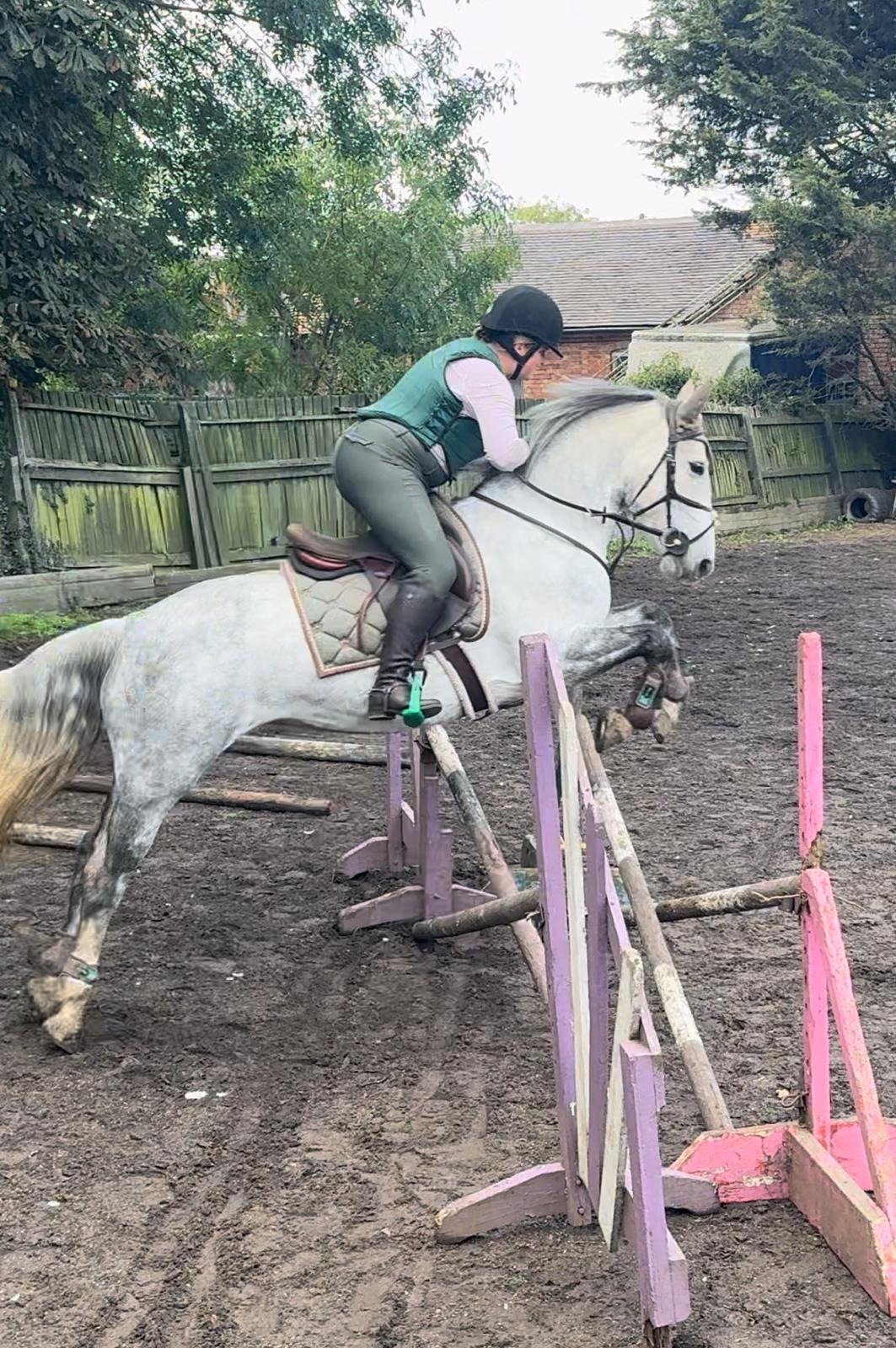 Replacement Jumps for our Riding School campaign photo, 6 of 8