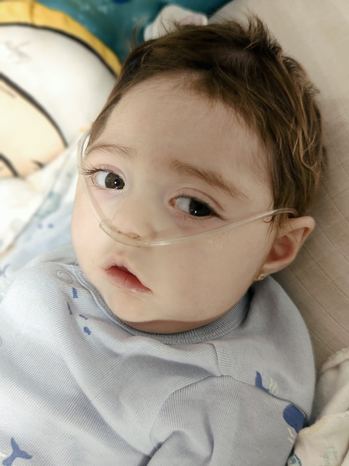 Ayúdanos a salvar la vida de nuestra pequeña Ana Isabel campaign photo, 5 of 8