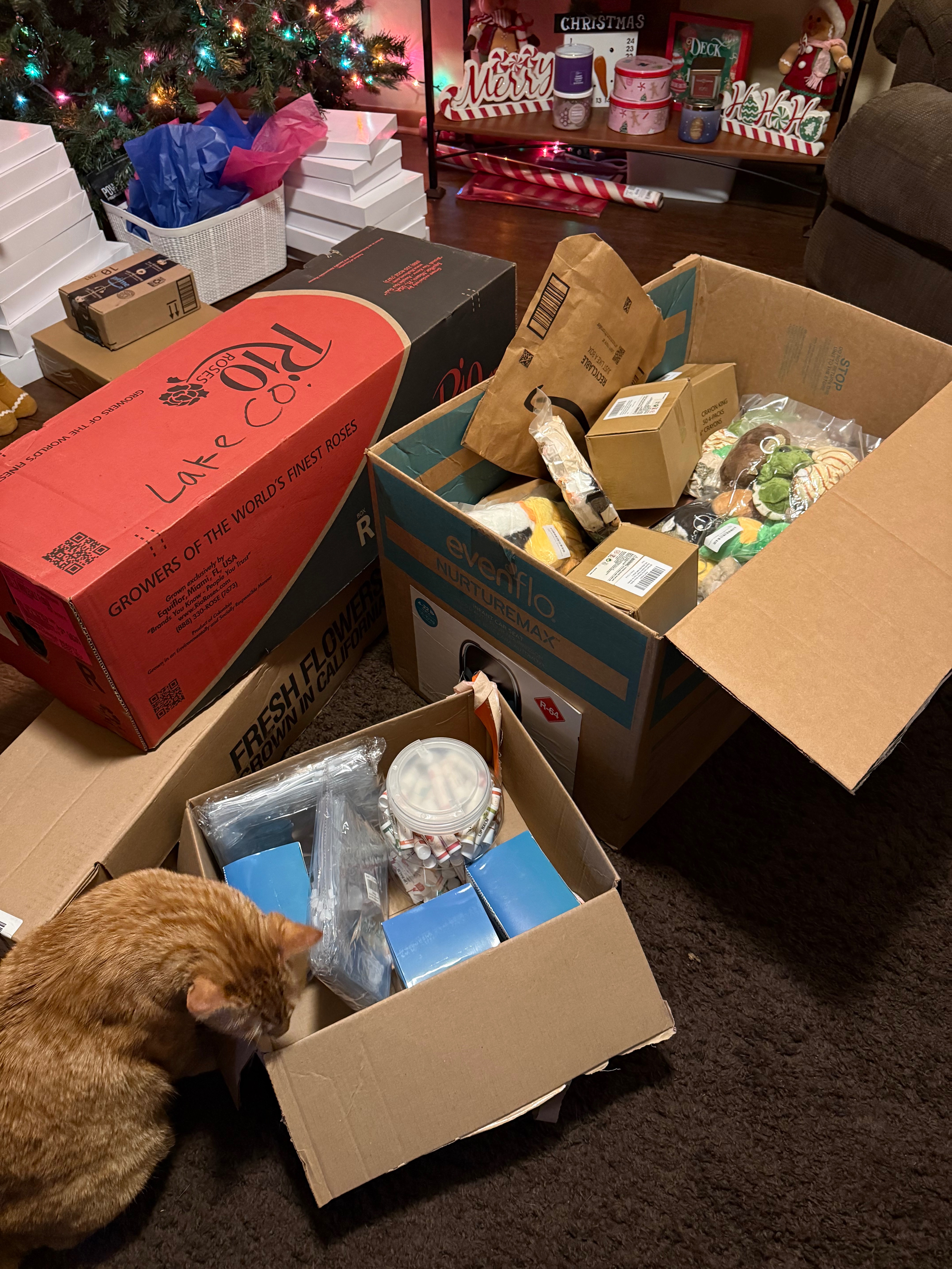 Donate to Robinsons' Mission: Toys for Tiny Humans campaign photo, 5 of 8