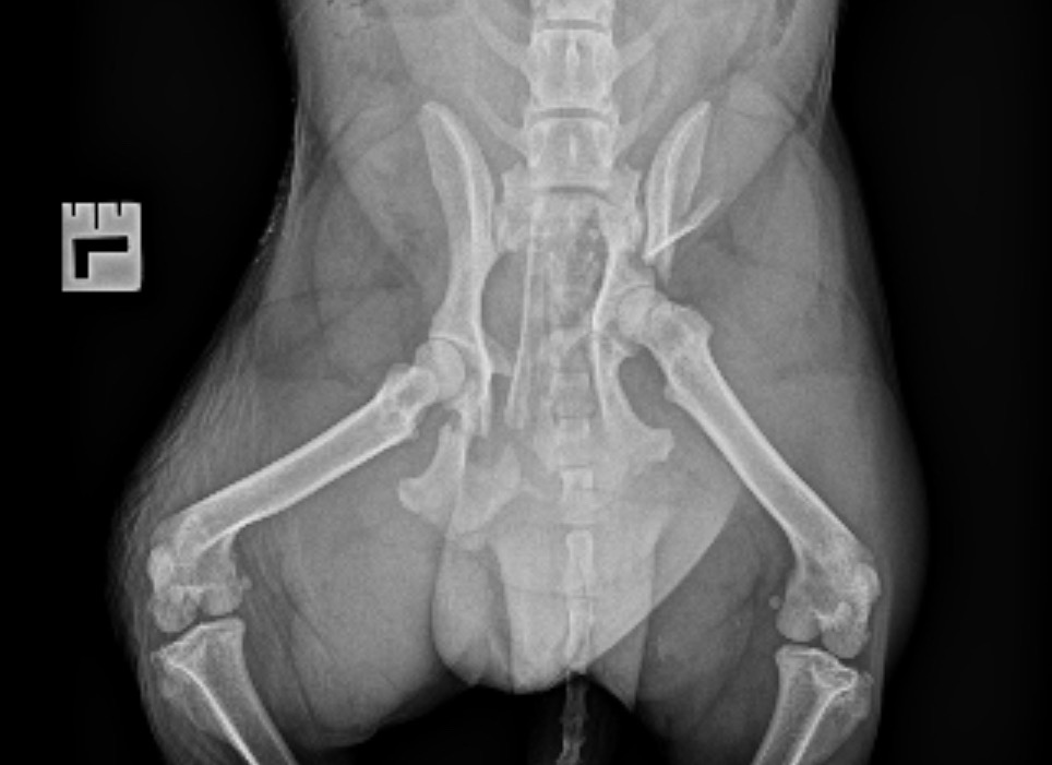 User-uploaded image 1