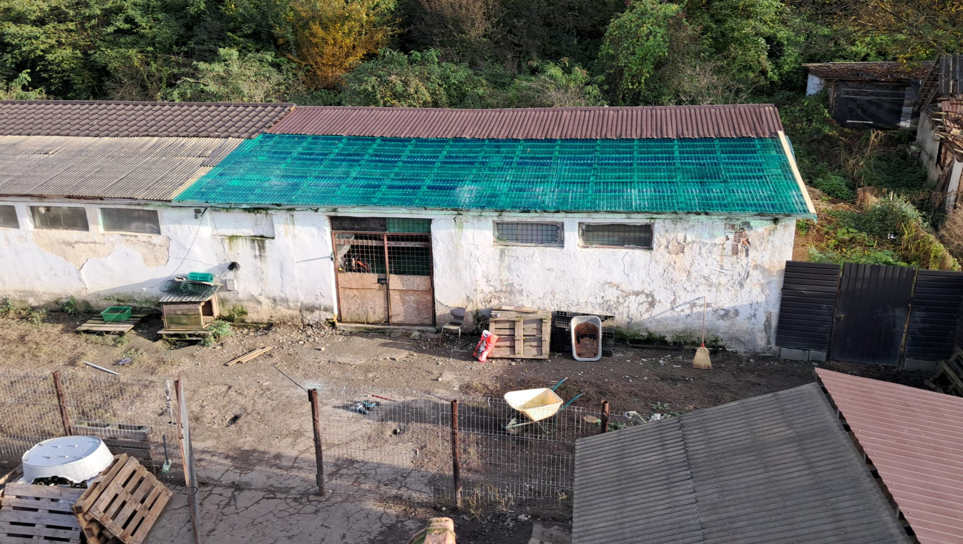 EIN TROCKENES DACH ÜBER DEN KÖPFEN UNSERER HUNDE IN RUMÄNIEN pinned link photo