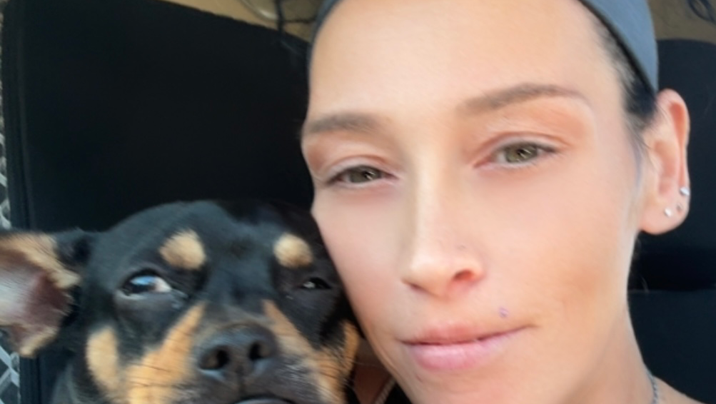 Reunite Jessica and Her Dogs in a Safe Home photo