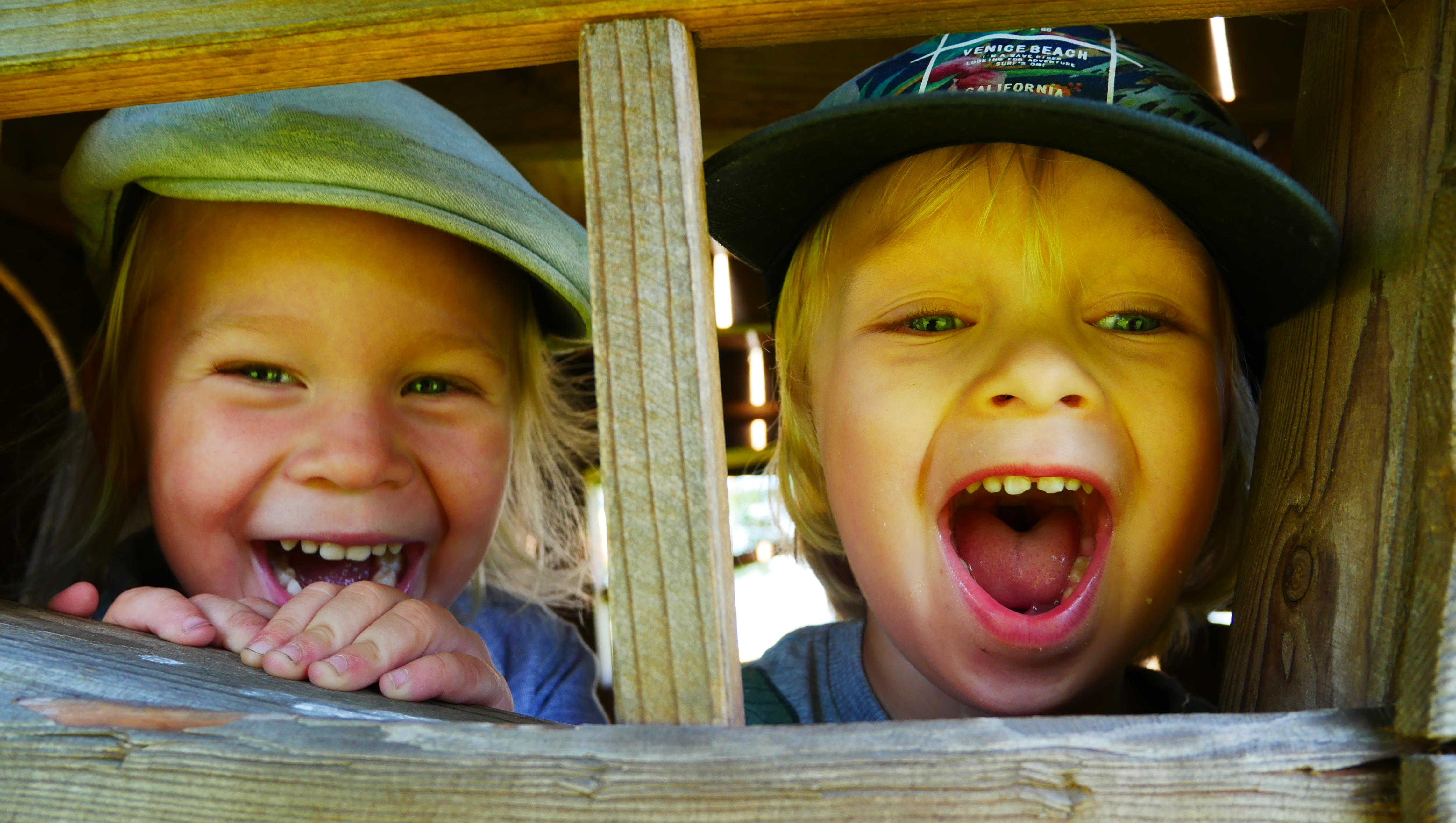 Help National Society to prevent cruelty towards children