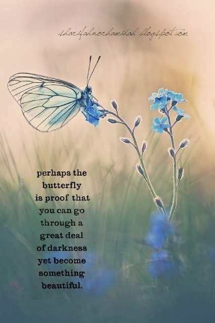 User-uploaded image 1