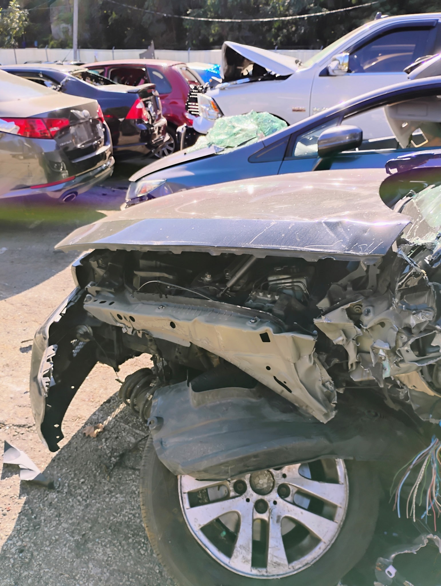Support Needed for Recovery and New Car campaign photo, 2 of 7