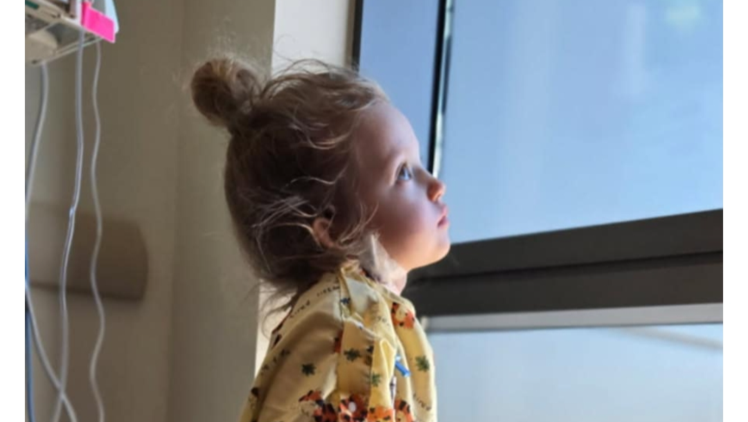 Help the McKenzie Family and Lilli Heal