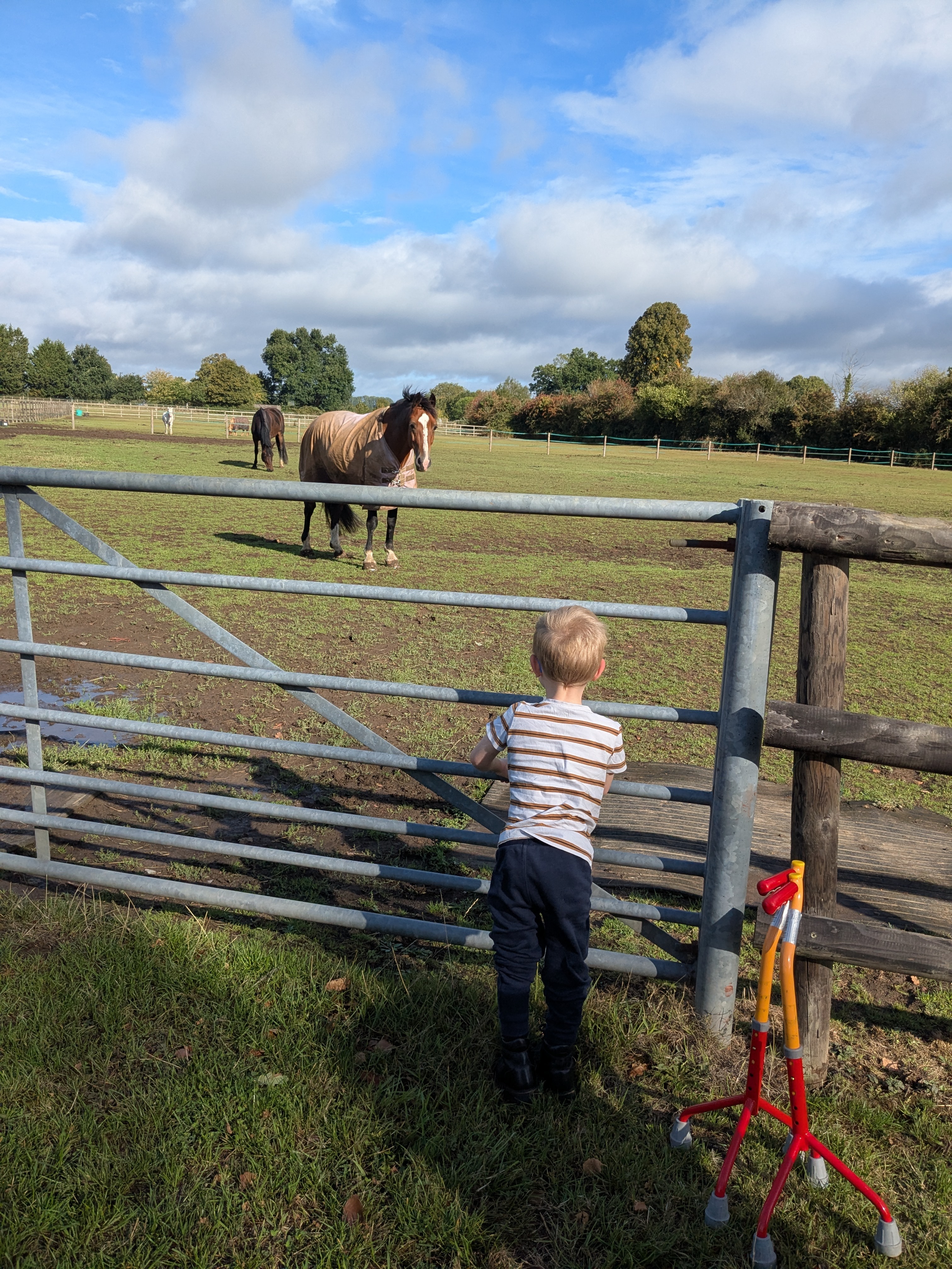 Racing to help G walk with intensive physio Therapy support campaign photo, 4 of 8