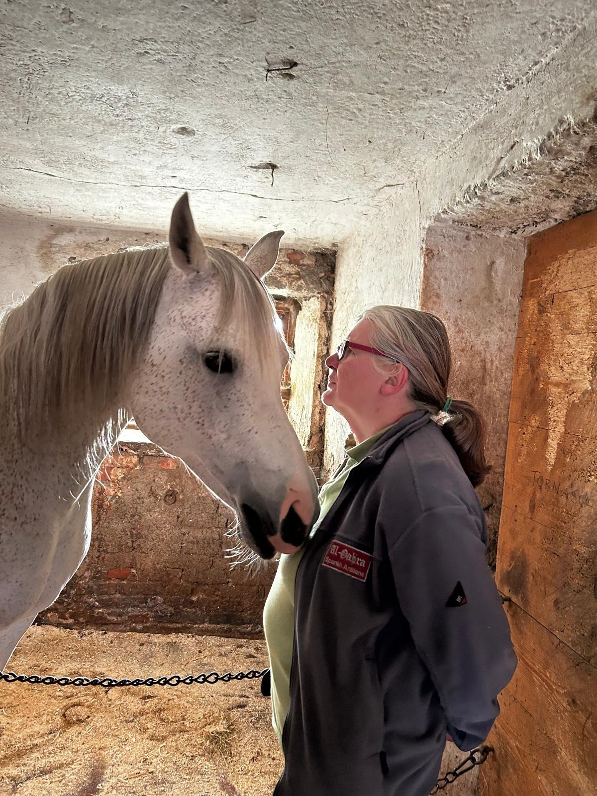 Foto van campagne Help Martina and the Al Qahira Arabian horses, 4 van 8