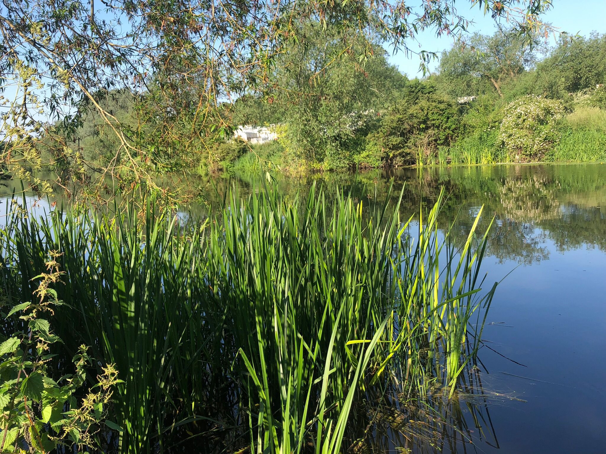 Help Restore the Warwickshire River Avon with Arts & Culture campaign photo, 4 of 8