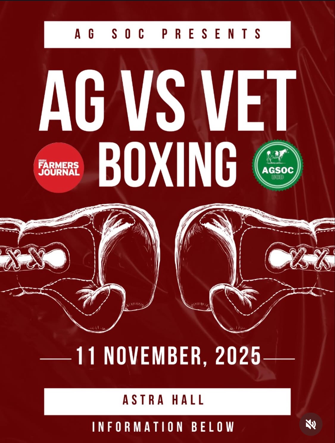 Ag VS Vet Boxing campaign photo, 2 of 4