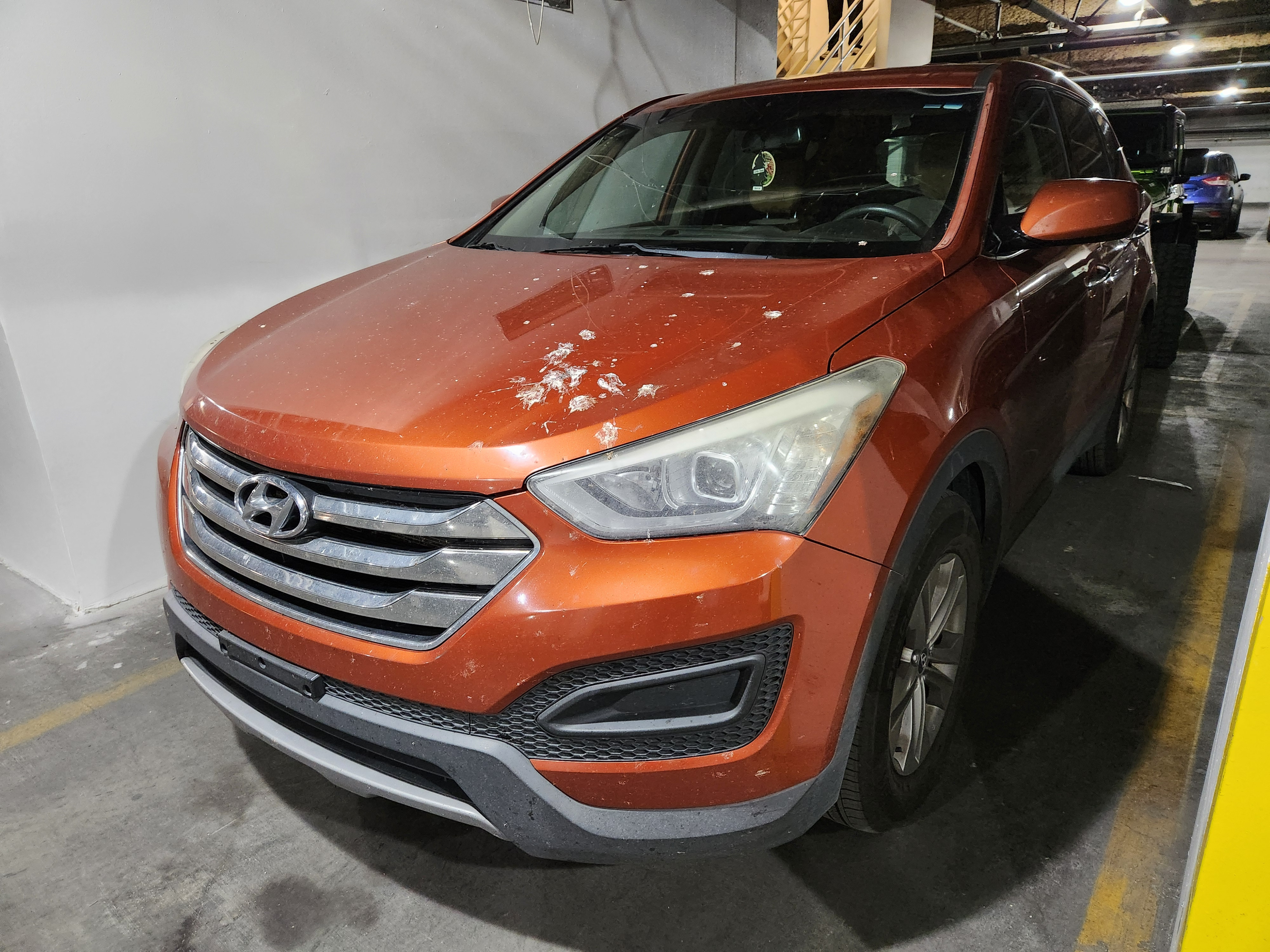 User-uploaded image 1