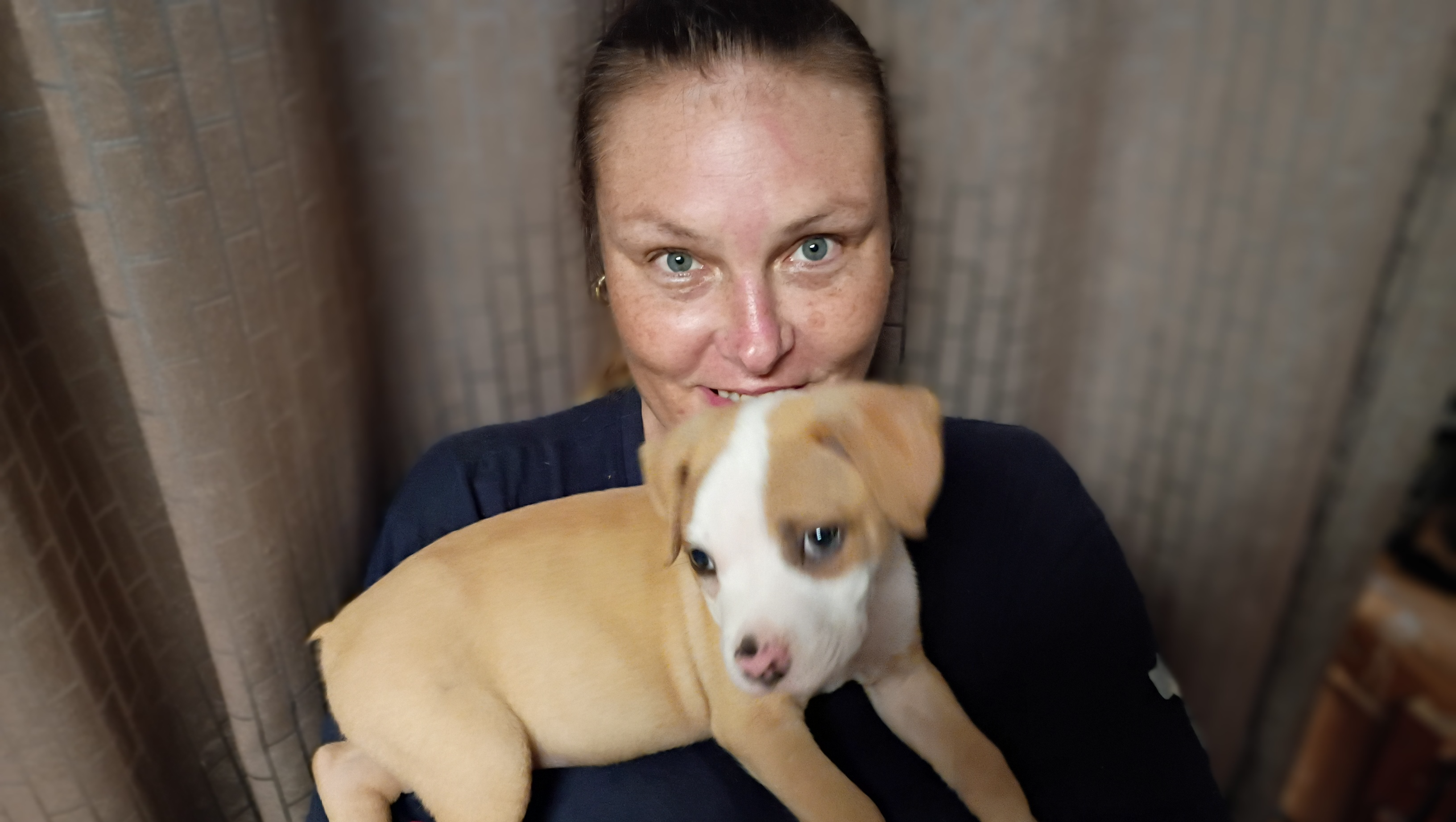 Urgent Vet Care Needed for Cowboy photo