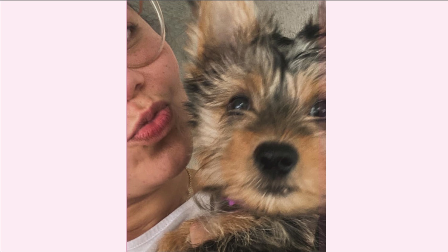 Bring Two Yorkies Home to Their Parents: Colombia to NYC campaign photo, 4 of 6