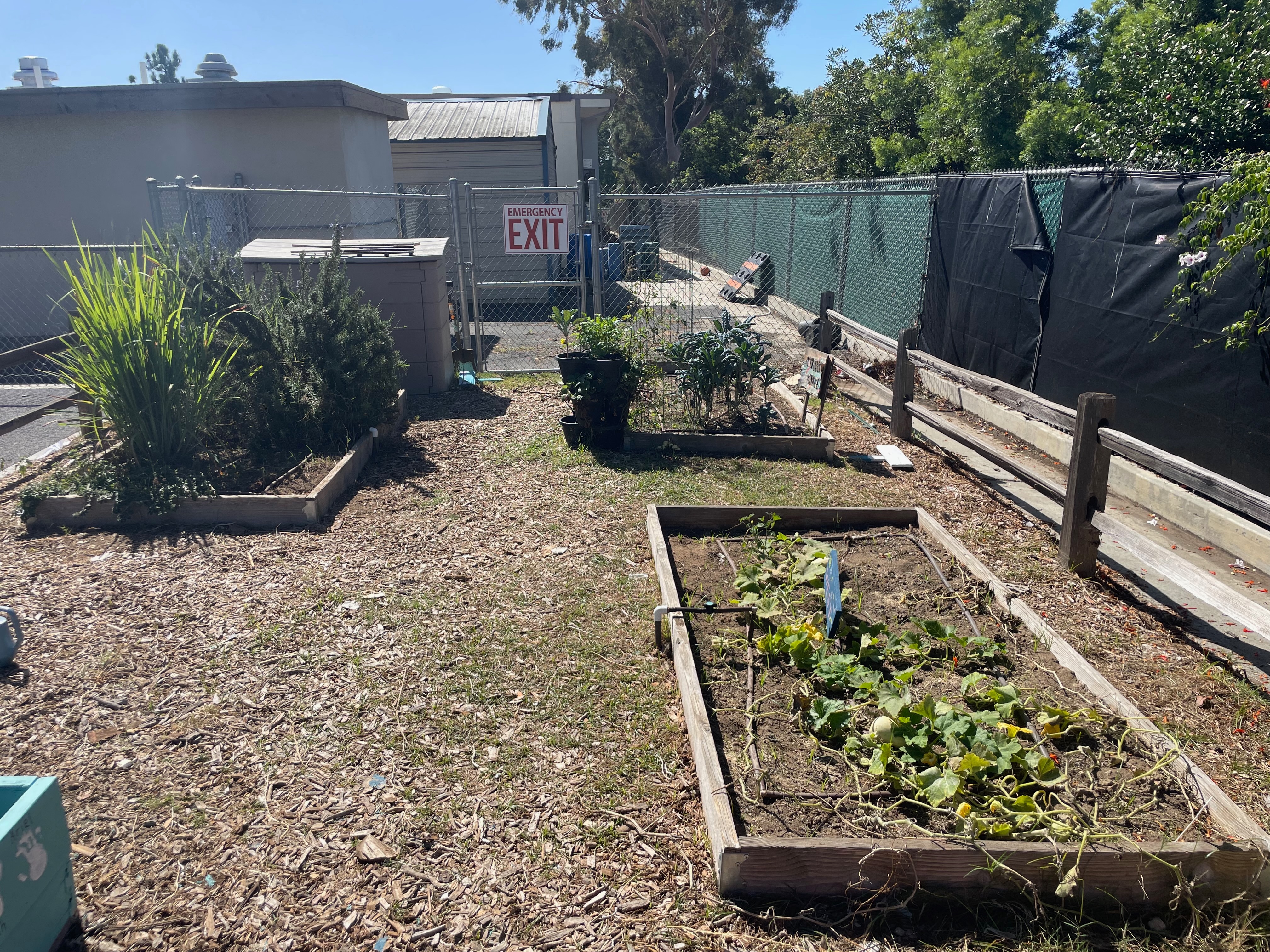 The Kinder Garden: Growing Curious Minds at La Costa Heights campaign photo, 7 of 8