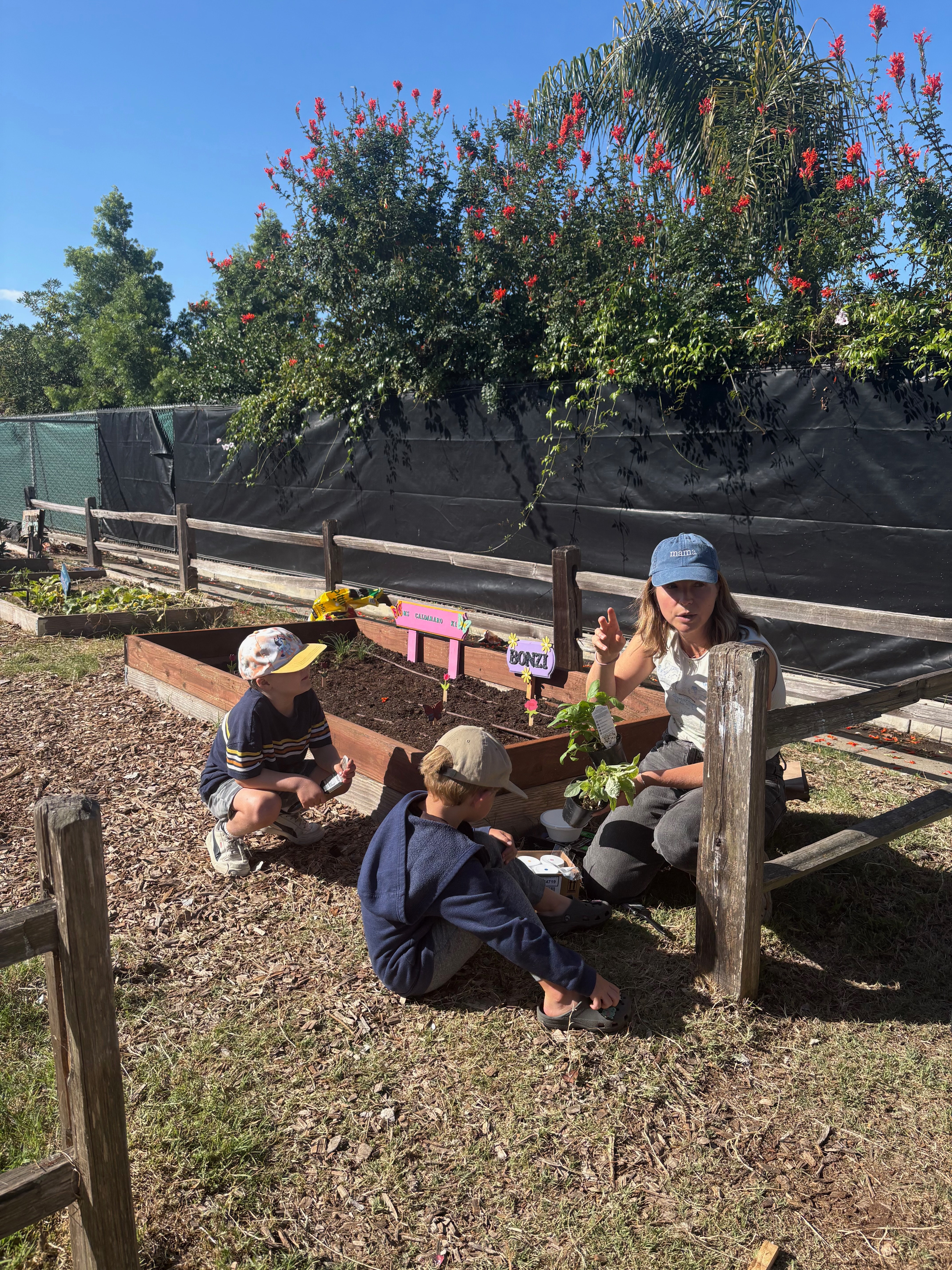 The Kinder Garden: Growing Curious Minds at La Costa Heights campaign photo, 4 of 8