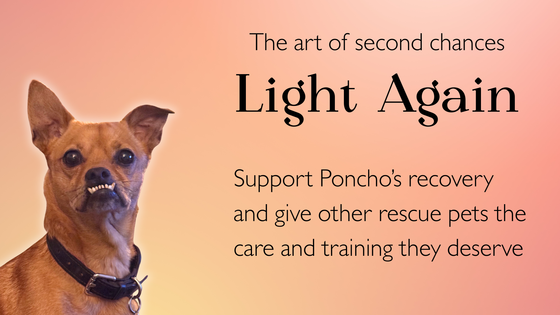 User-uploaded image 1