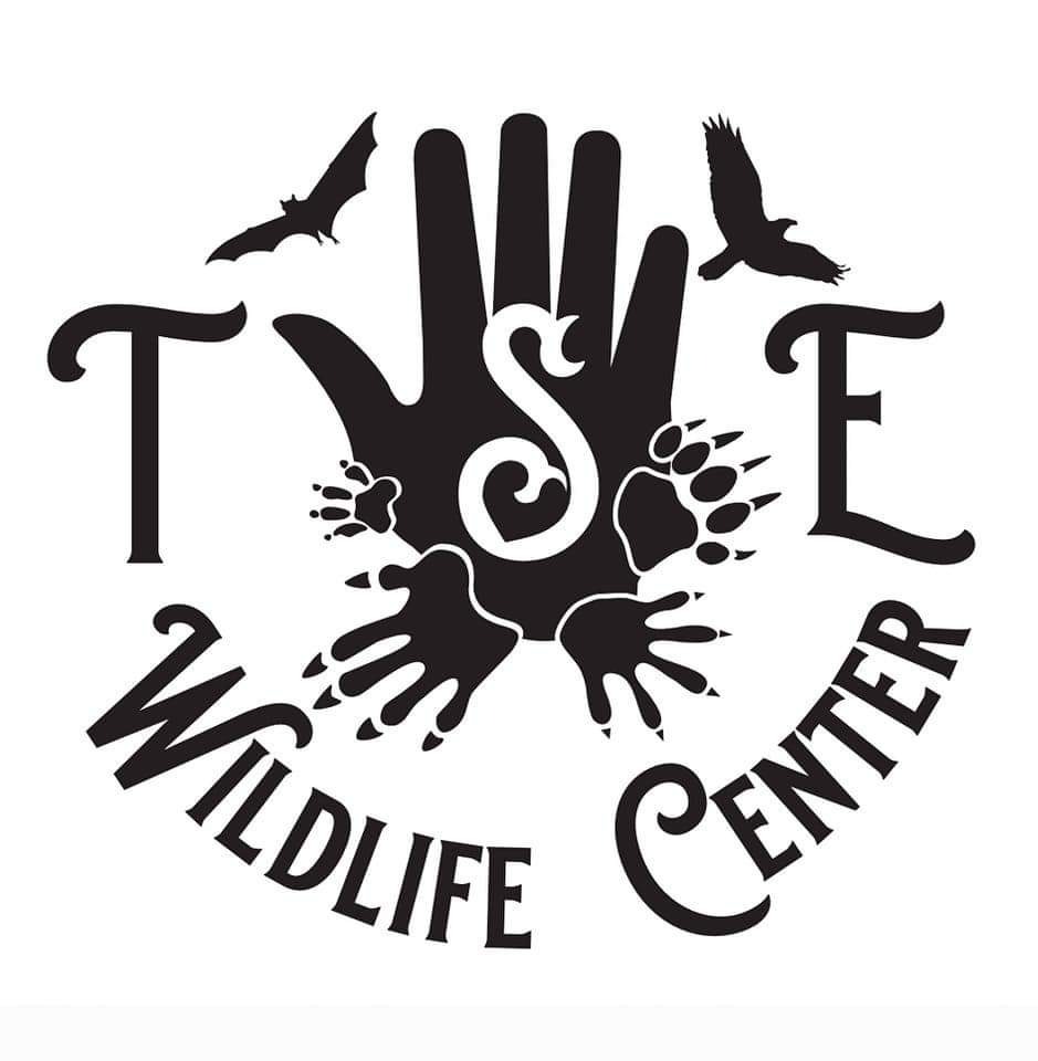 Help TSE Wildlife Center Become a 501(c)(3) campaign photo, 5 of 7