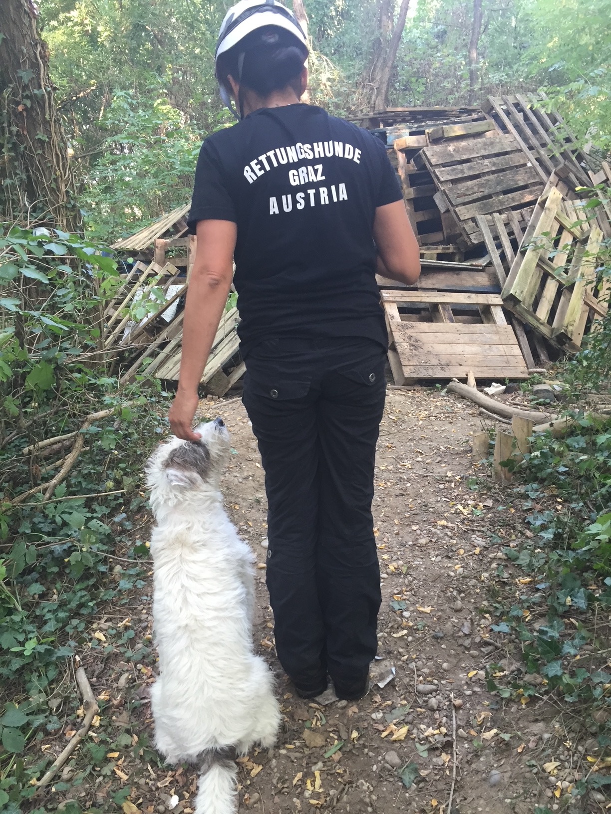 Rettungshund Herr Mütze kämpft gegen Krebs – bitte helft ♥️ campaign photo, 7 of 7